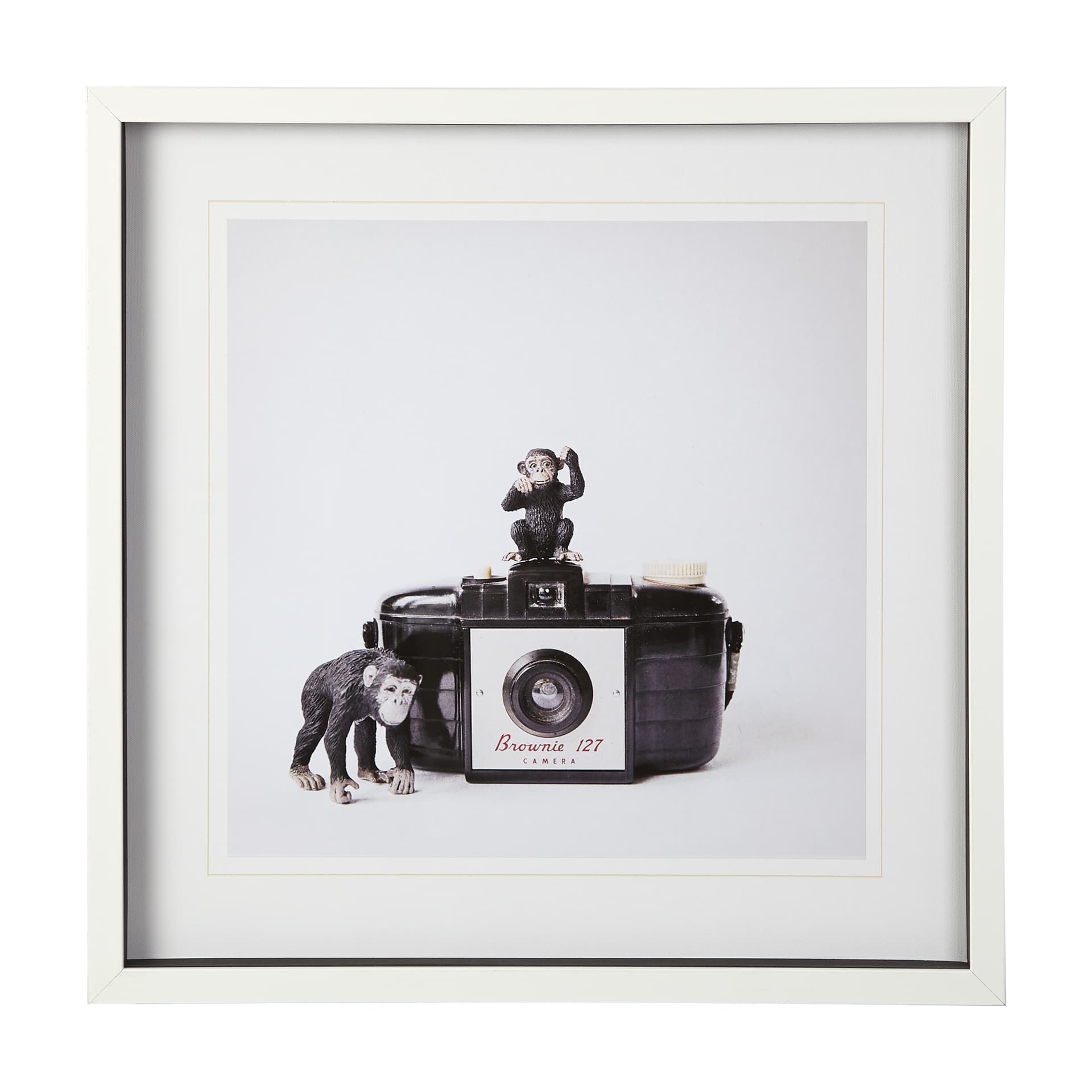 Monkeys & Vintage Camera by Susannah Tucker Photography a Framed Photo Art Print Matted under Glass — product photograph