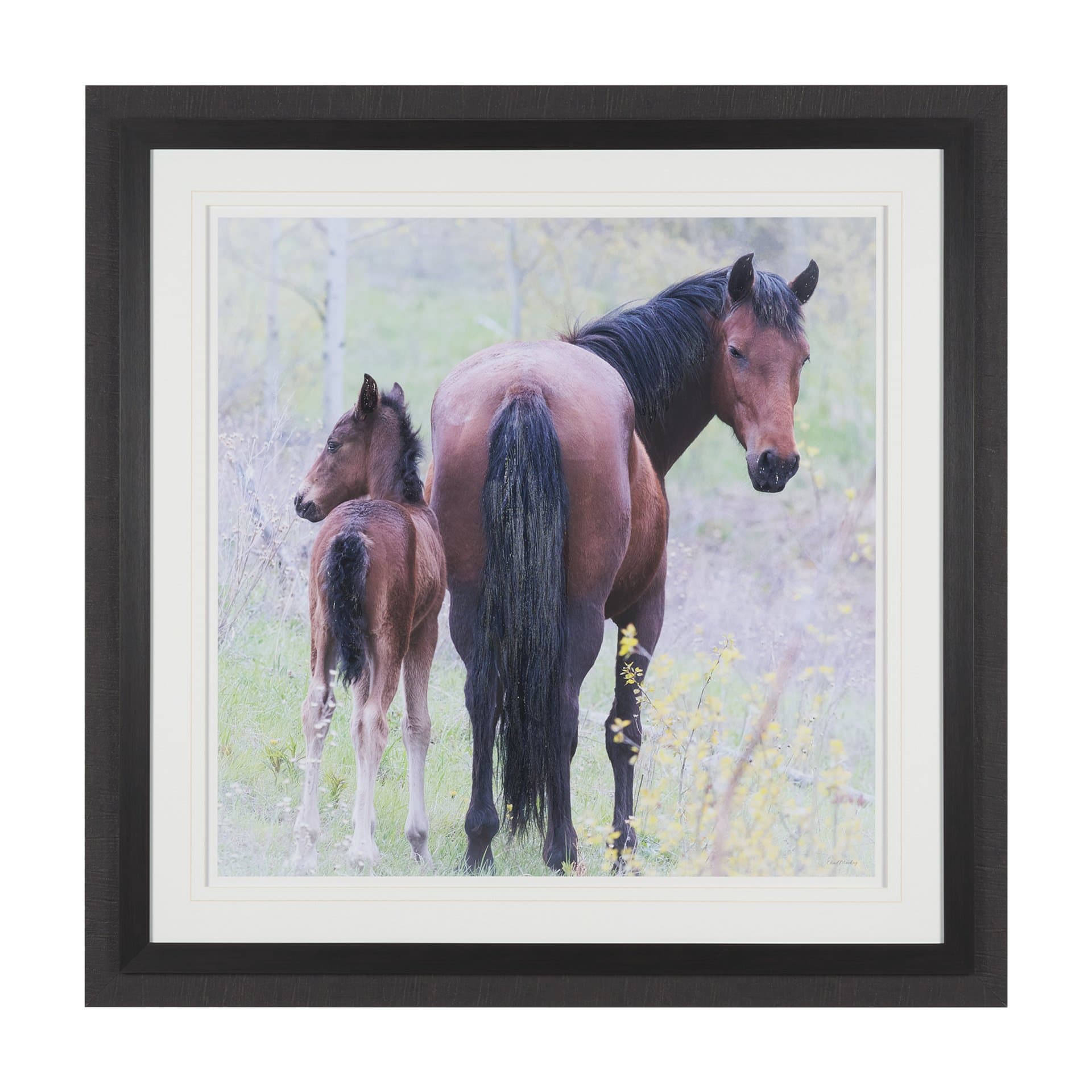 A Watchful Bond by Chad Mackay Hand Embelished Framed Art Print Matted under Glass — product photograph