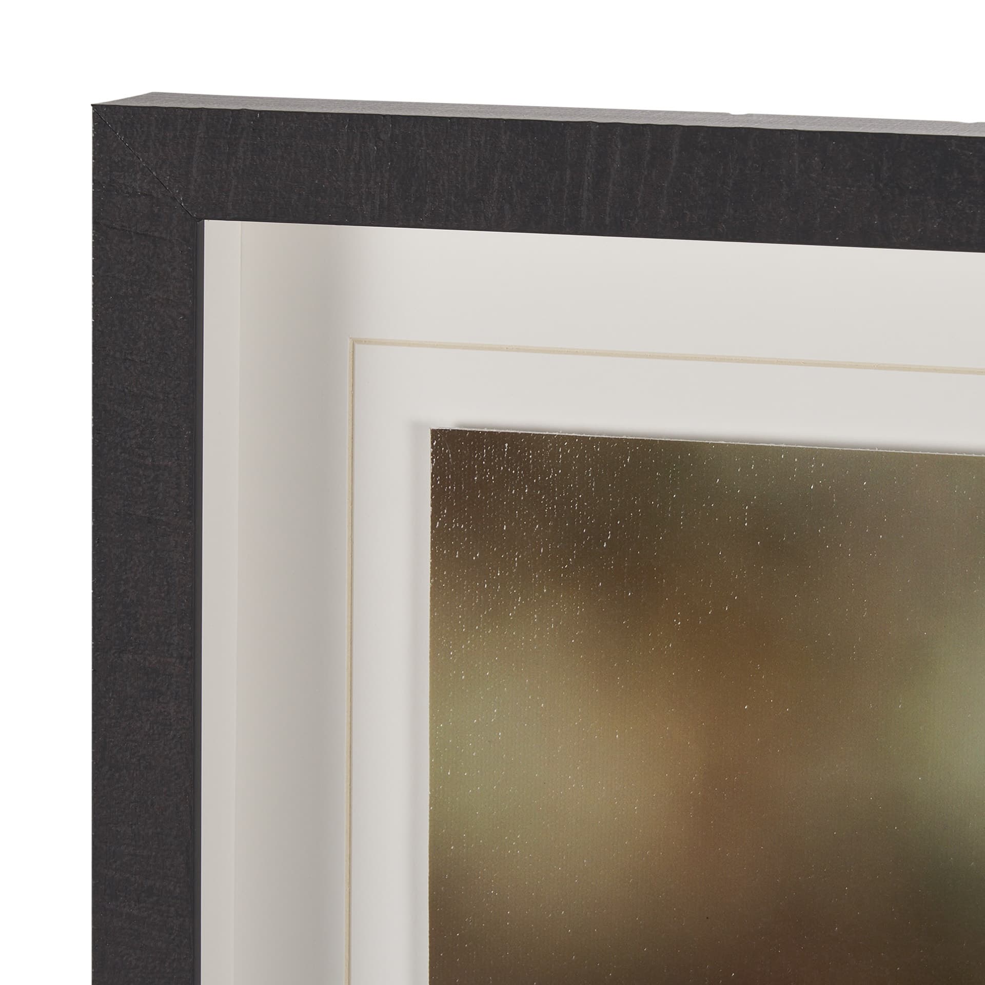 Down to Earth by Stig Kalvelid a Hand Embellished Framed Photo Art Print Matted under Glass — product photograph