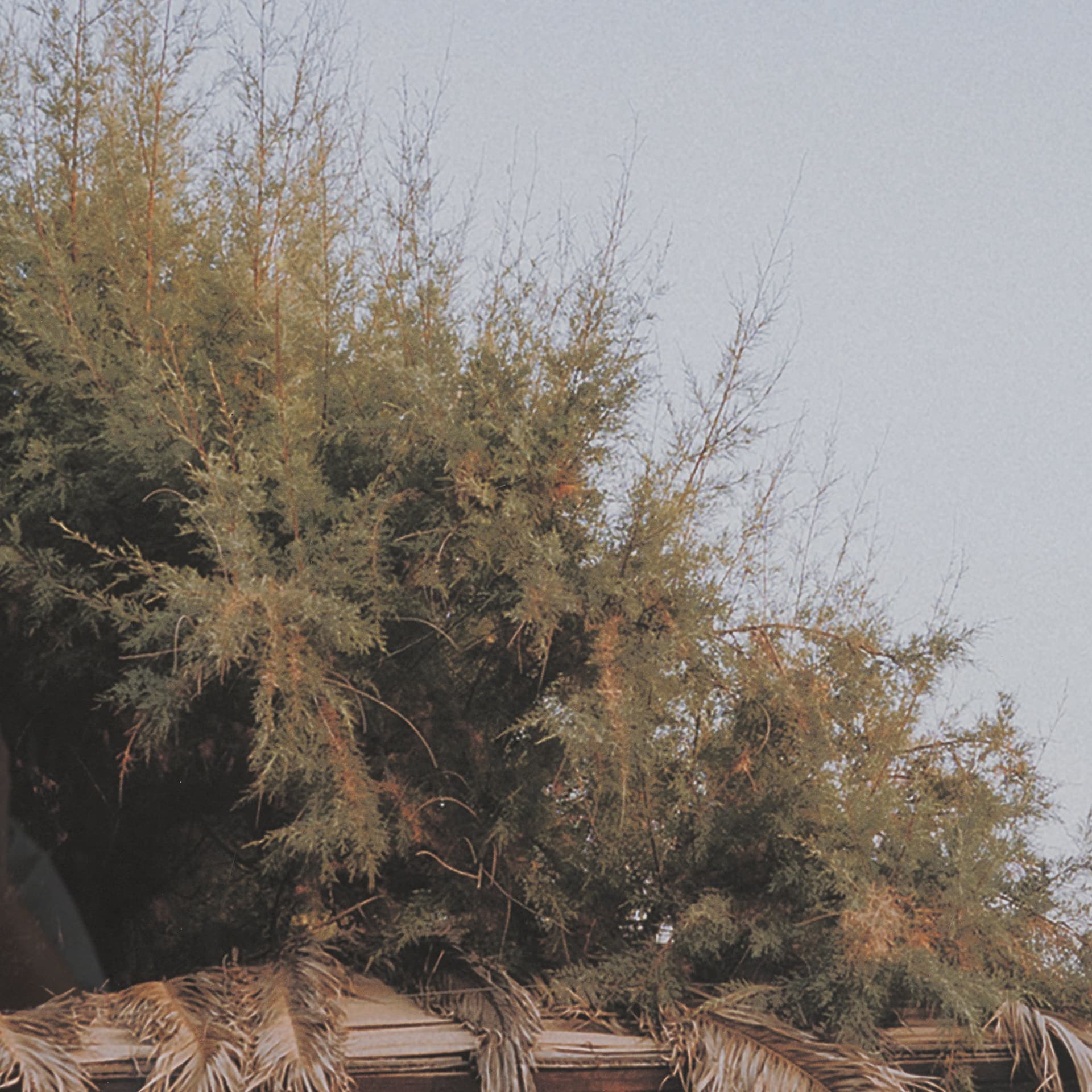 Greek Feast by Kelly Frere FramedPhoto Print Matted under Glass — product photograph