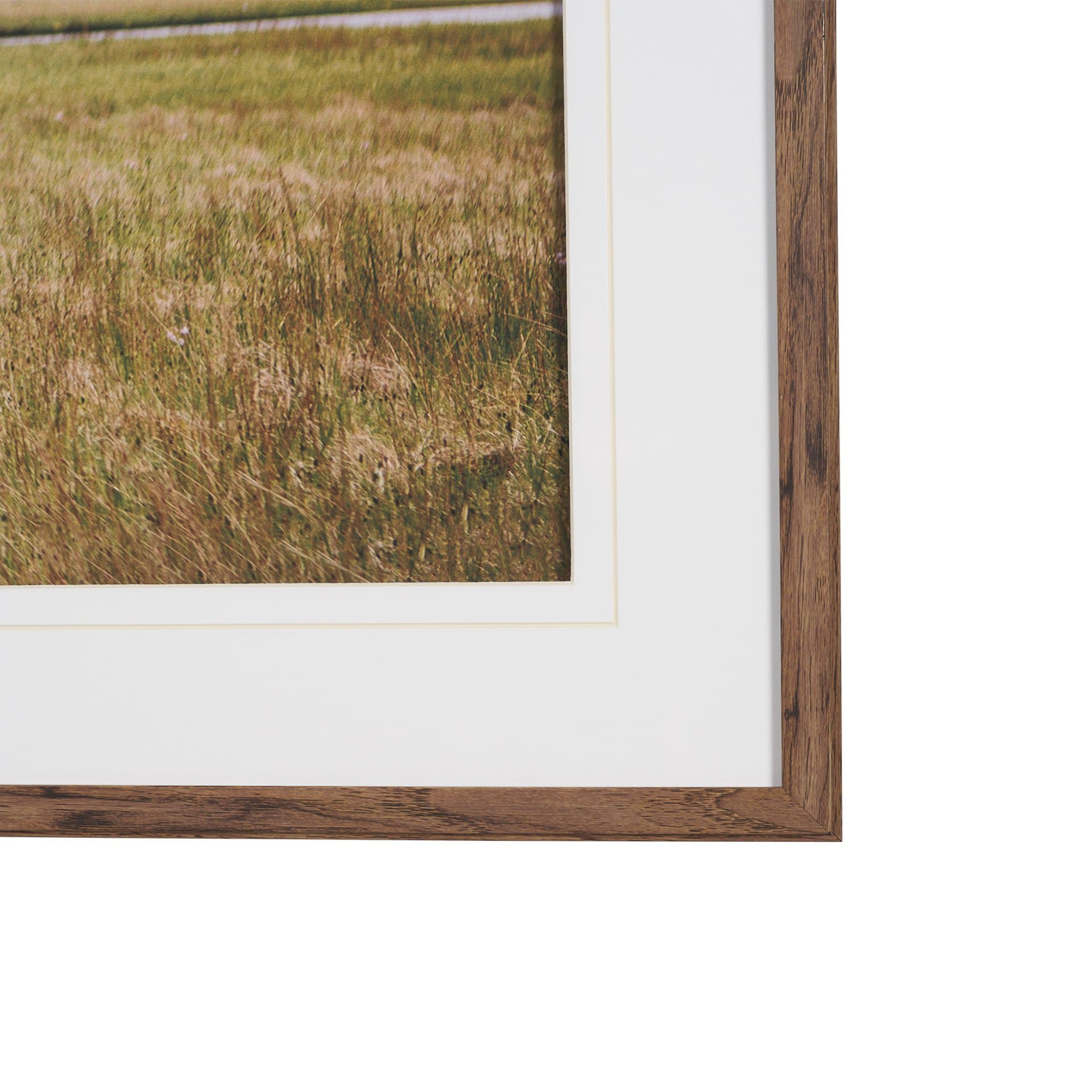 Icelandic Horse by Stefan and Audrey Framed Photo Print Matted under Glass — product photograph