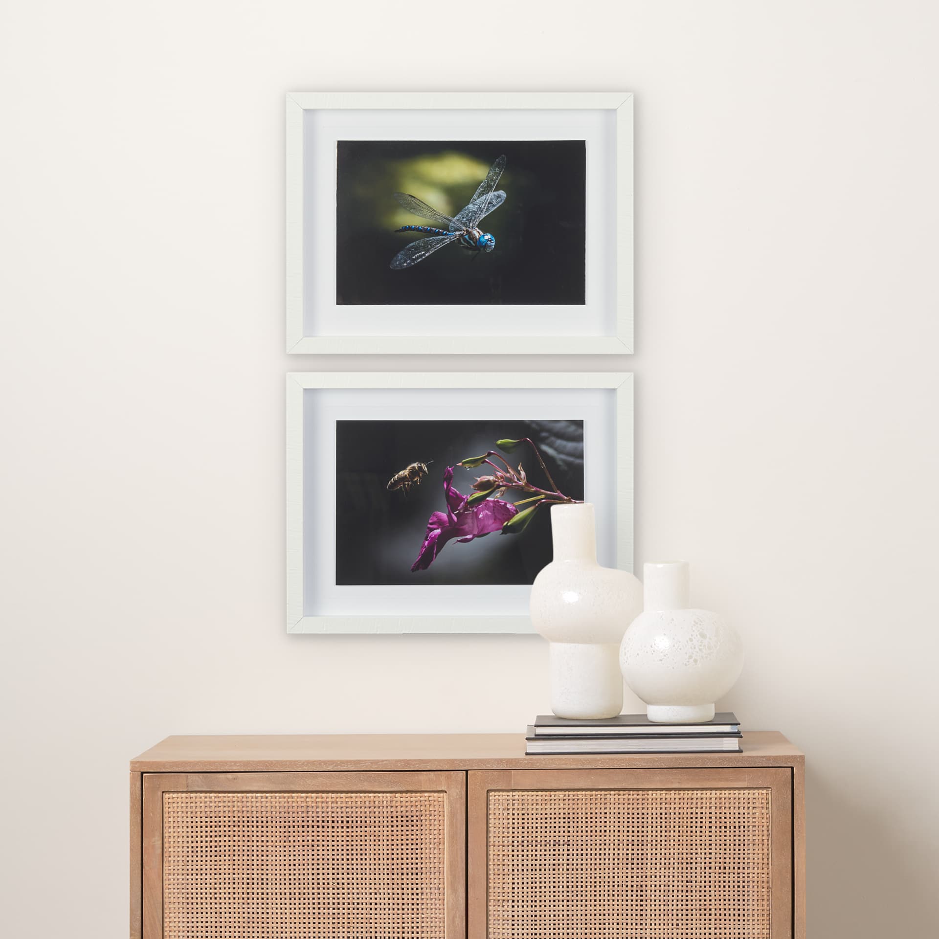 Honey Bee by Chad Mackay a Framed Photo Art Print Matted under Glass — in a styled room