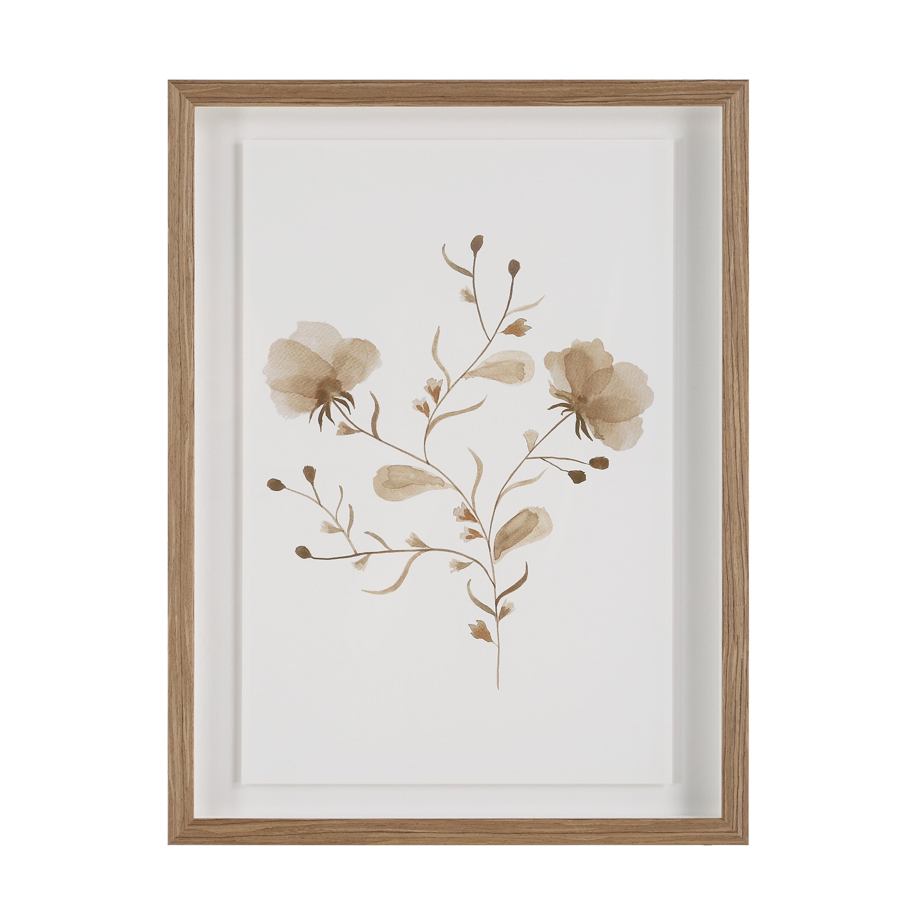 Madalena — product photograph