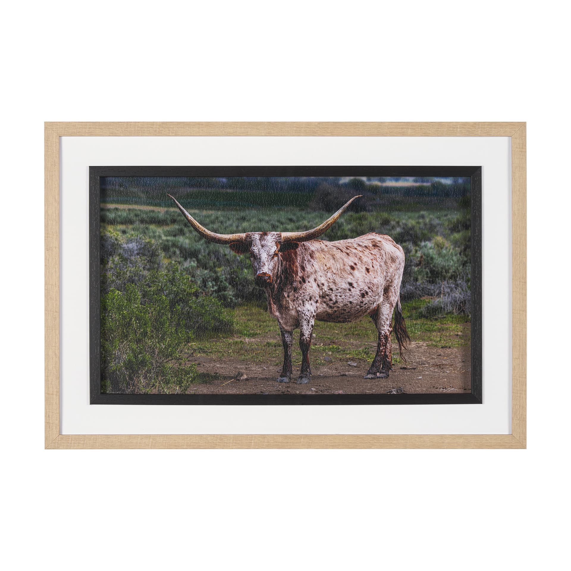 Longhorn 1 by Gary Blatter a Hand Embellished Framed Photo Art Print Matted under Glass — product photograph