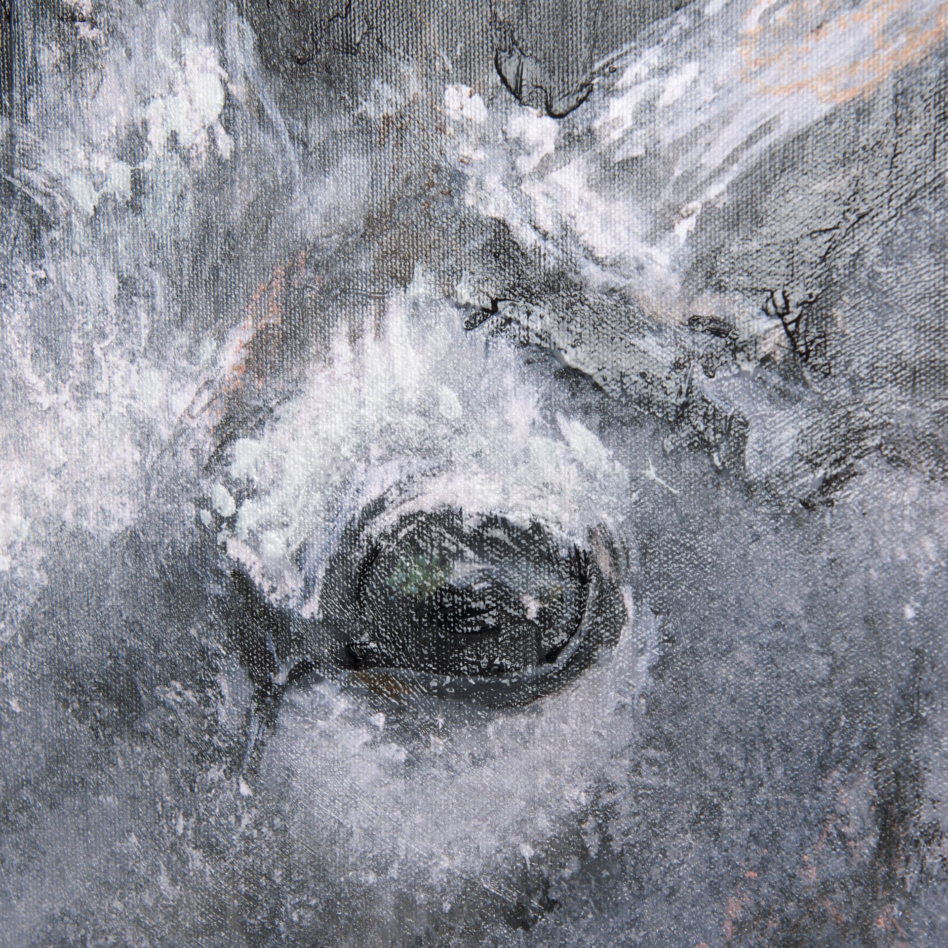 Animal Portrait IV by Mercana Studio a Hand Embellished Textured Canvas — product photograph