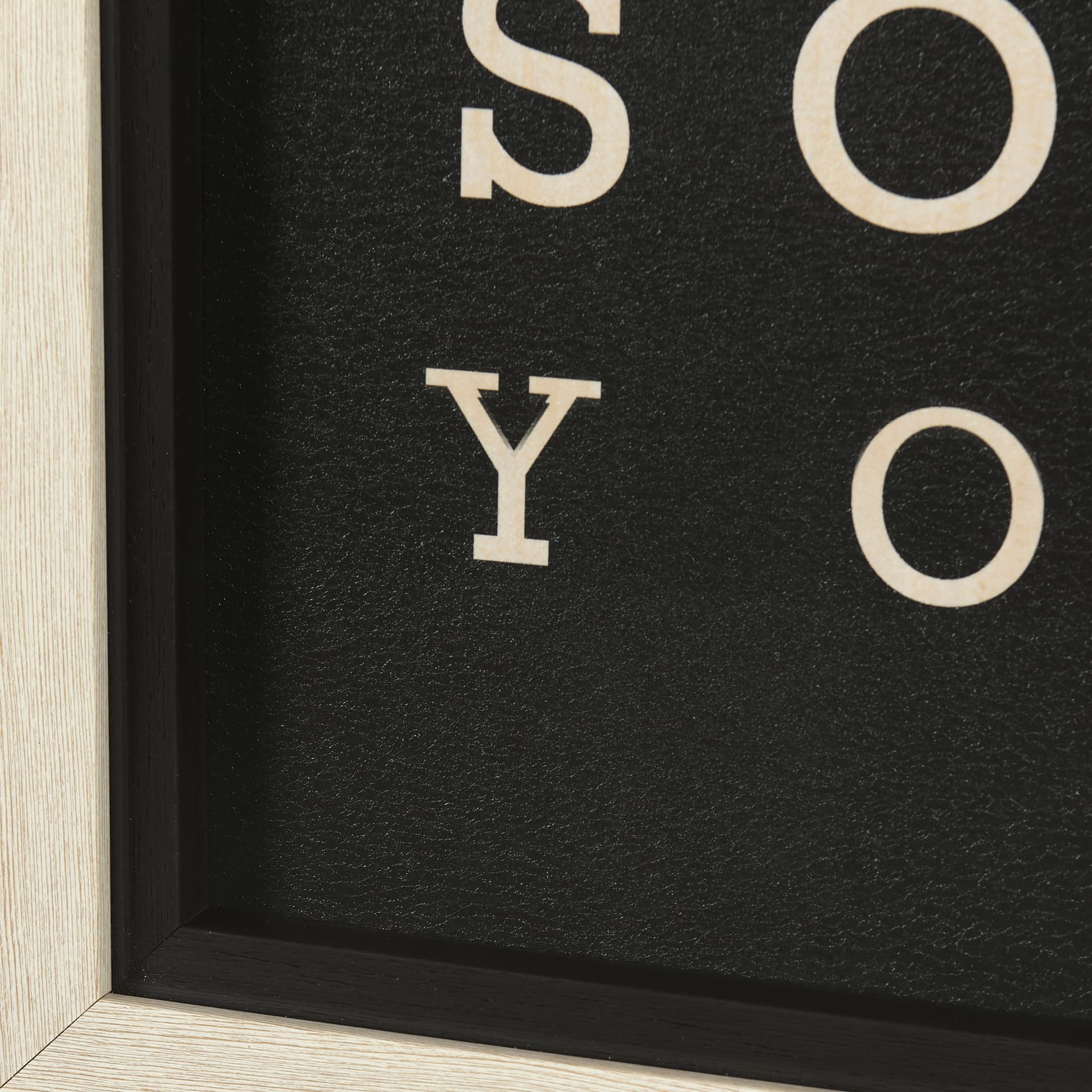 You Win by Mercana Studio a Hand Embelished Textured Framed Art Photograph Matted under Glass — product photograph