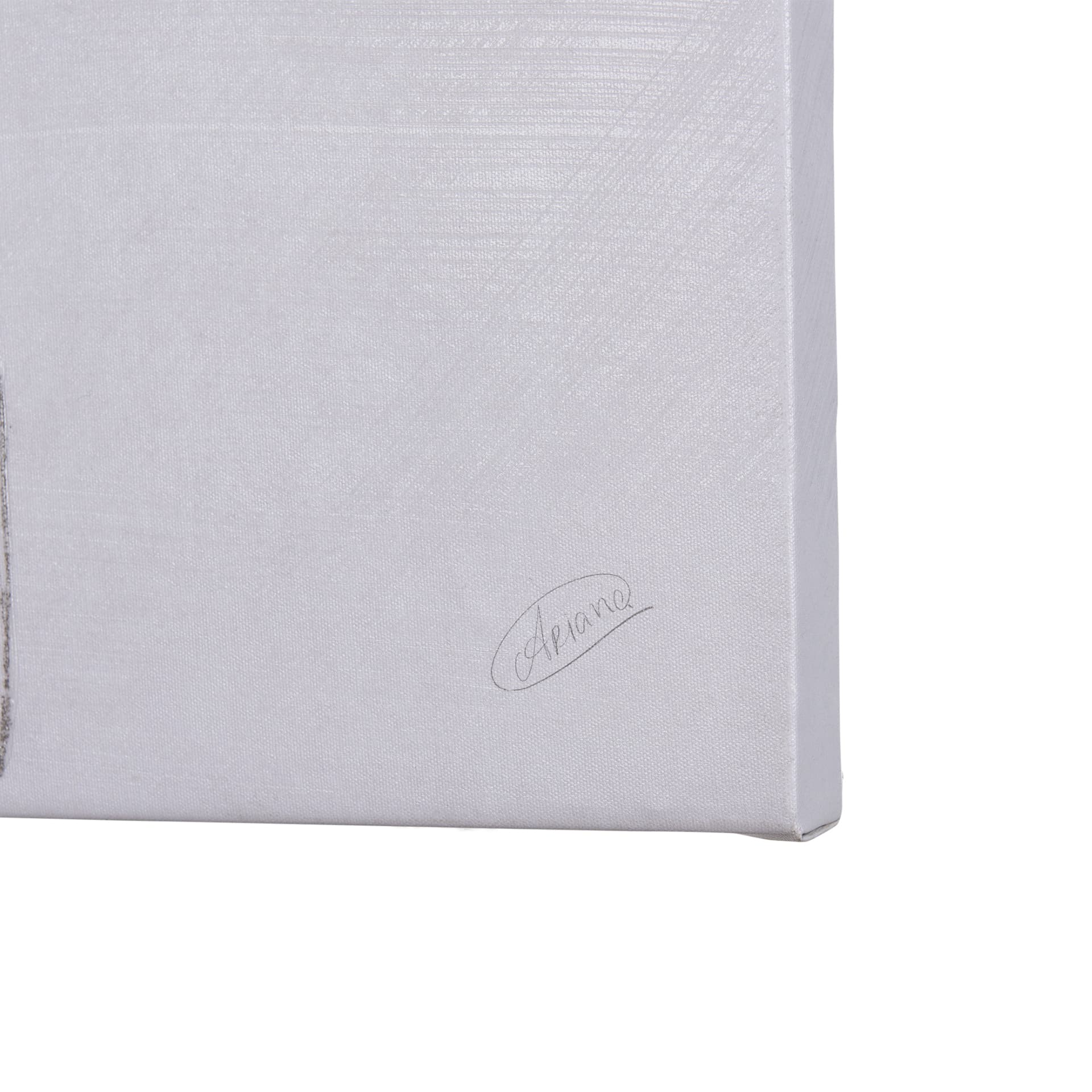 Andalusian I by Mercana Studio a Hand Embellished Textured Canvas — product photograph