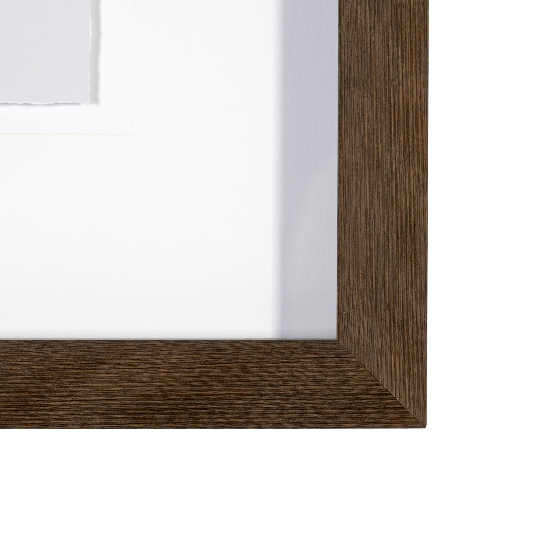 Olive Branch II by Gabrielle a Framed Art Print Matted under Glass — product photograph