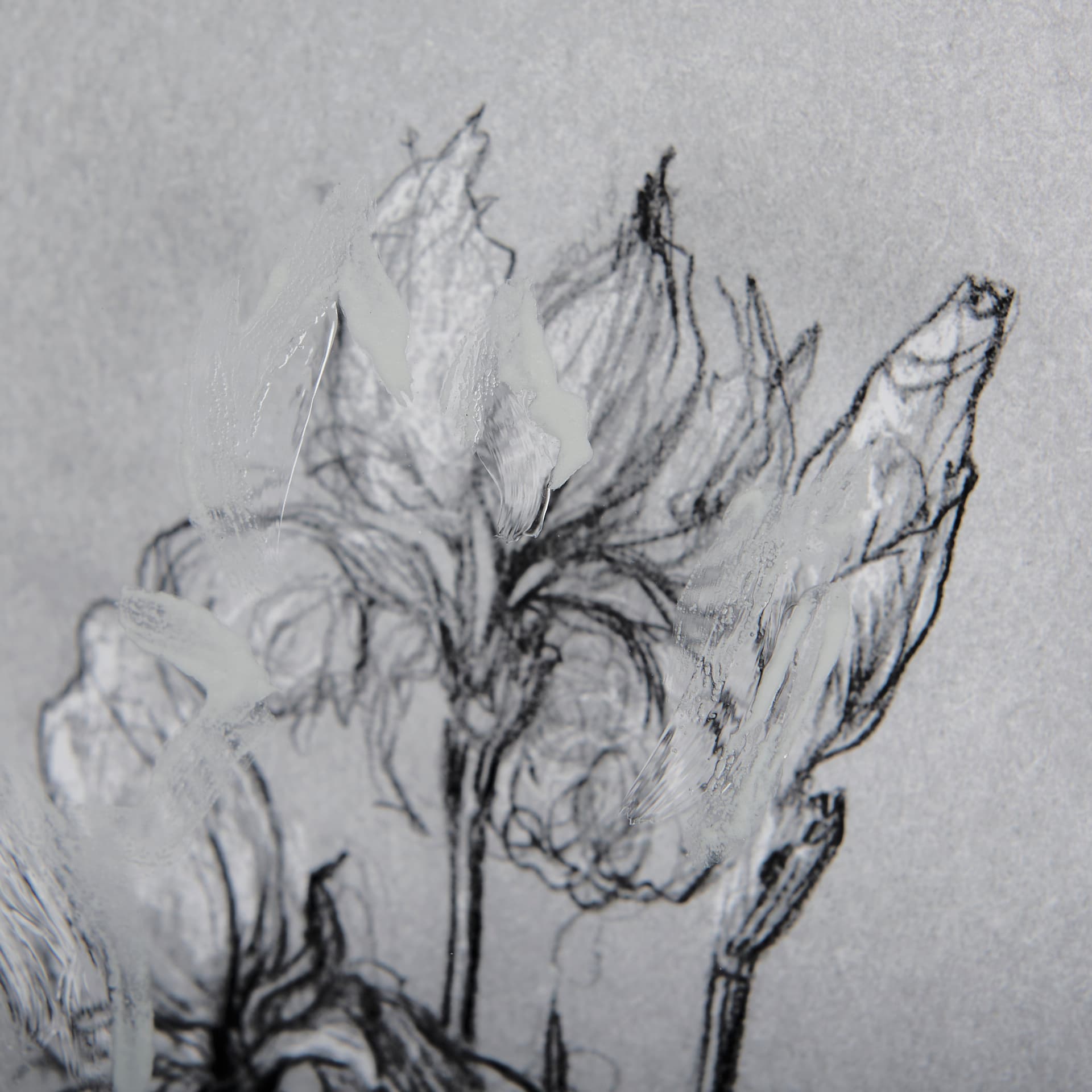 Botanical sketches IV (Grey) by Mercana Studio Hand Embellished Framed Art Print Matted under Glass — product photograph