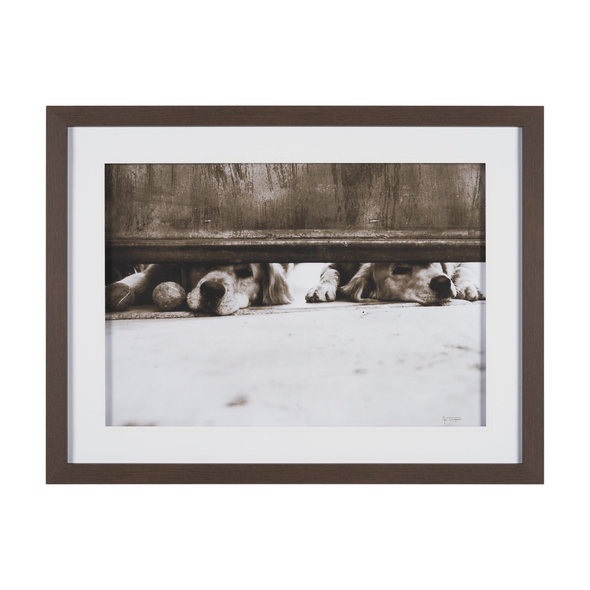 We See You Dogs by Jim Dratfield Framed Photo Print under Glass — product photograph