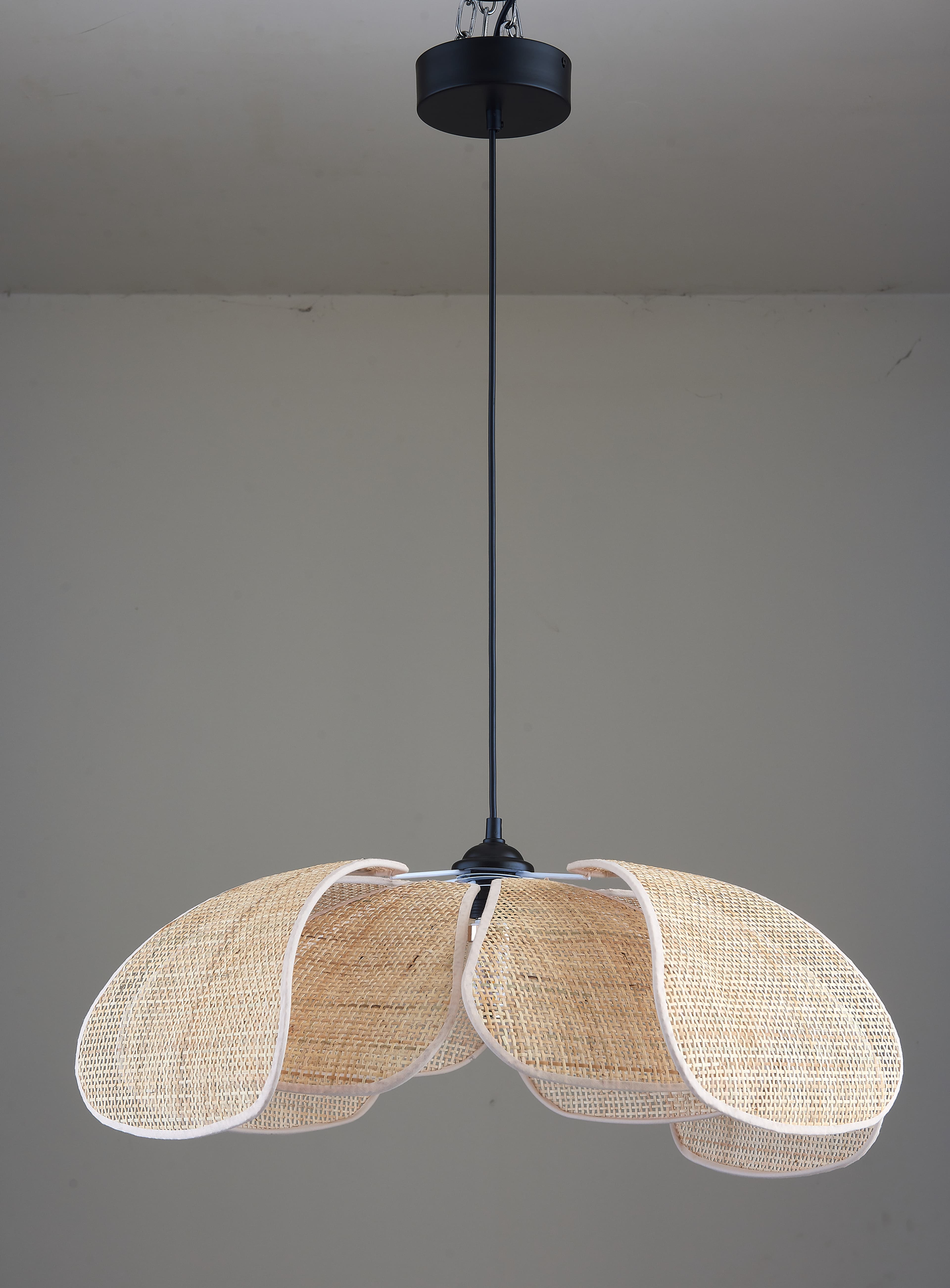 Petal Pendant Light — product photograph