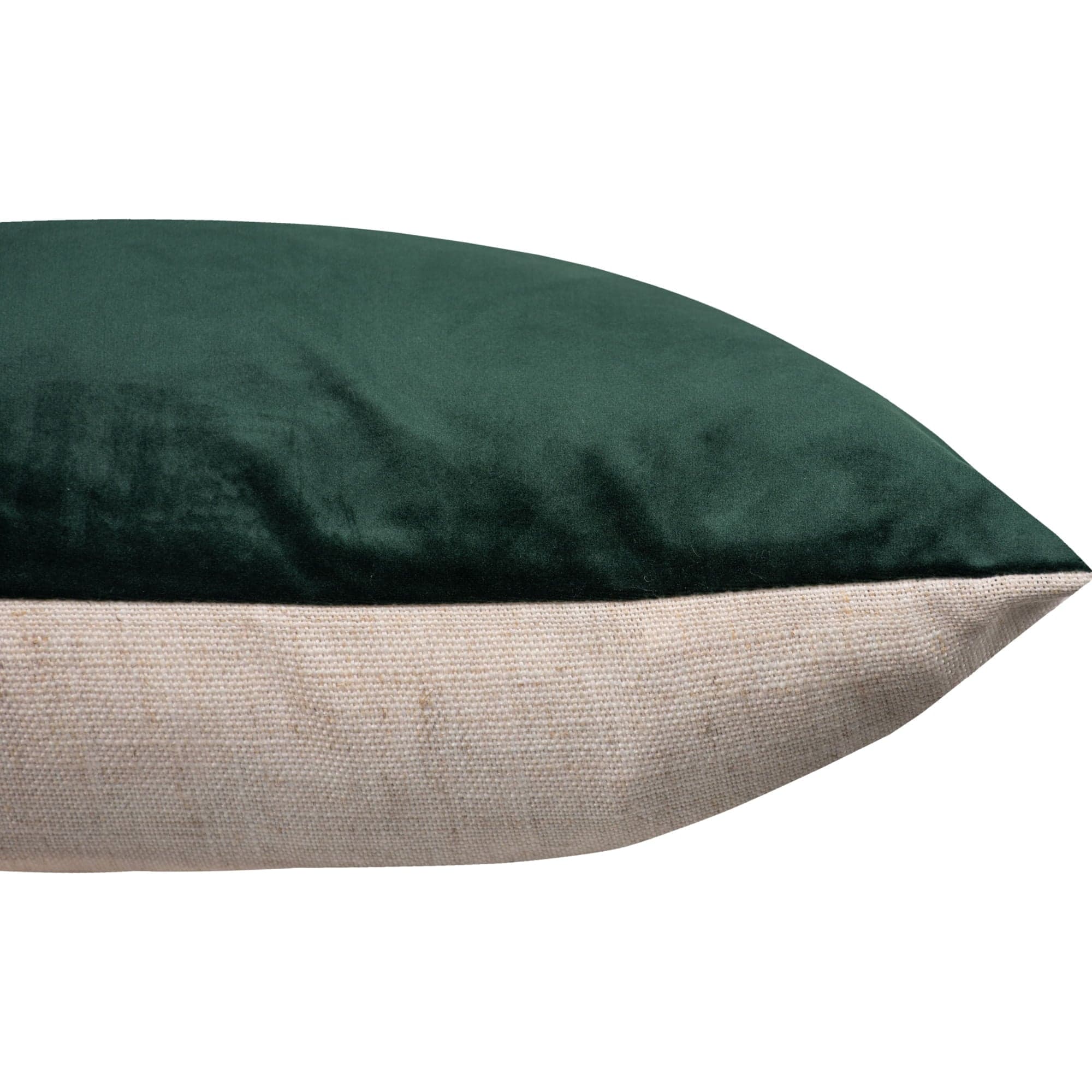 Olive — product photograph
