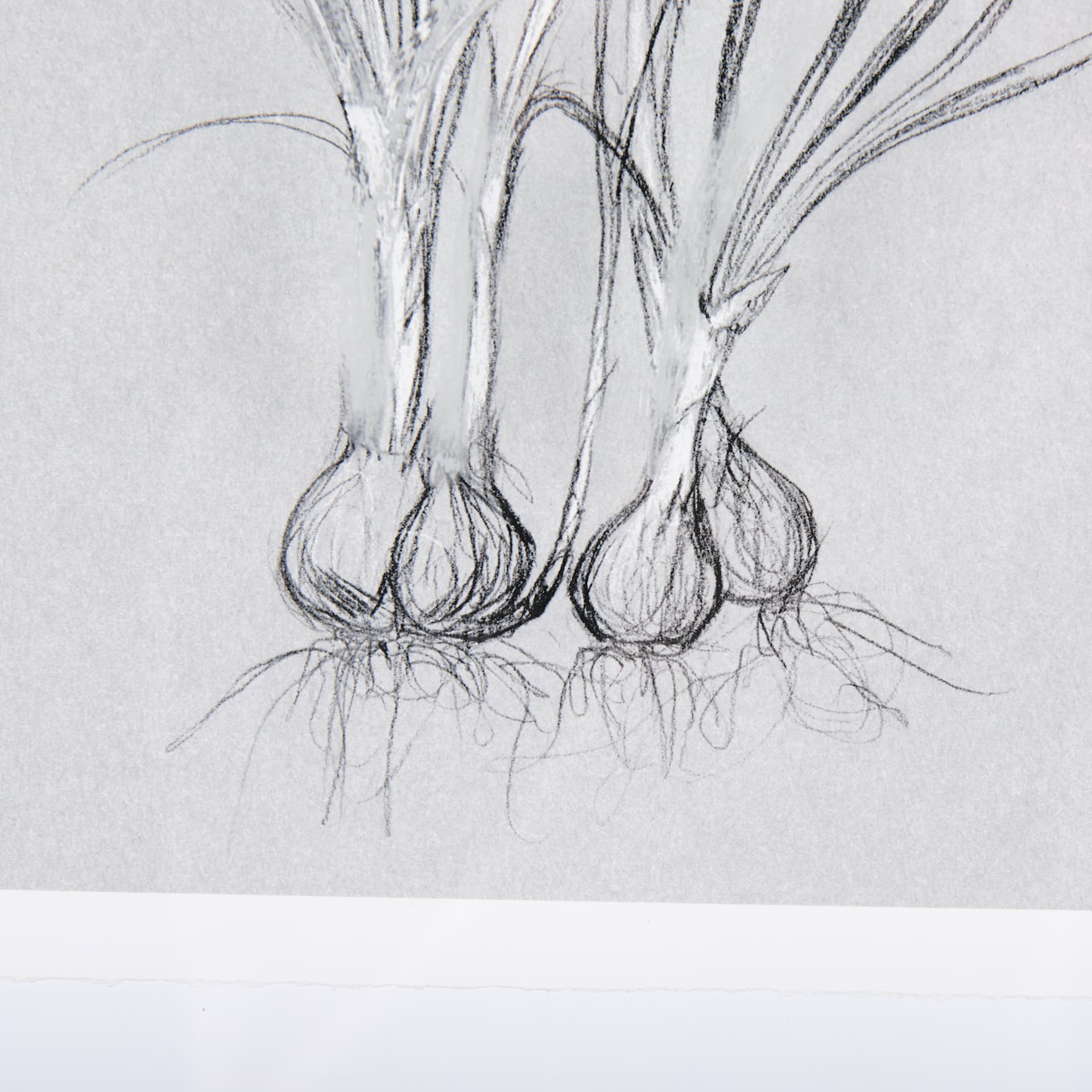 Botanical sketches V (Grey) by Mercana Studio Hand Embellished Framed Art Print Matted under Glass — product photograph