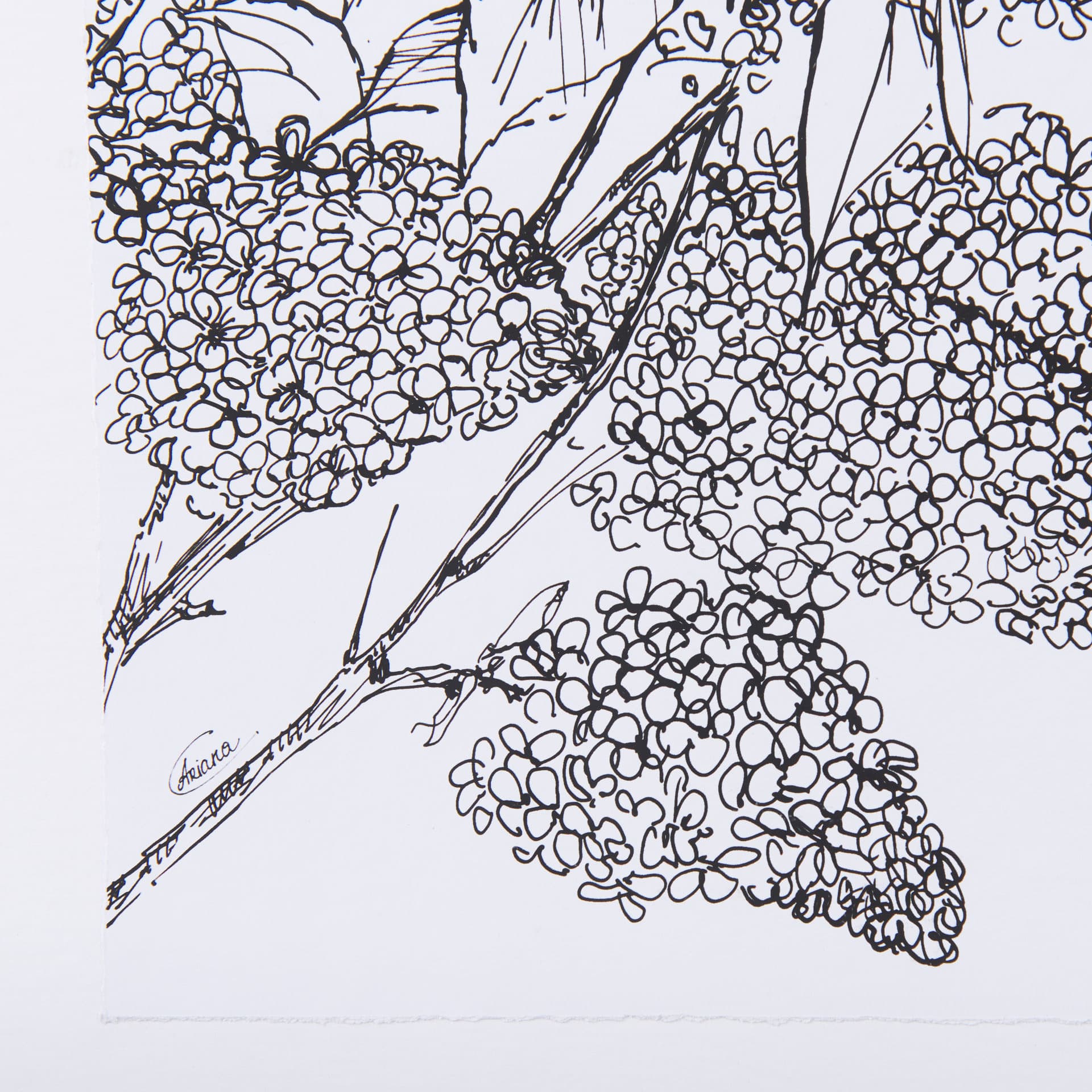 Spring Blooming XI by Mercana Studio a Hand Embellished Textured Framed Art Print Matted under Glass — product photograph