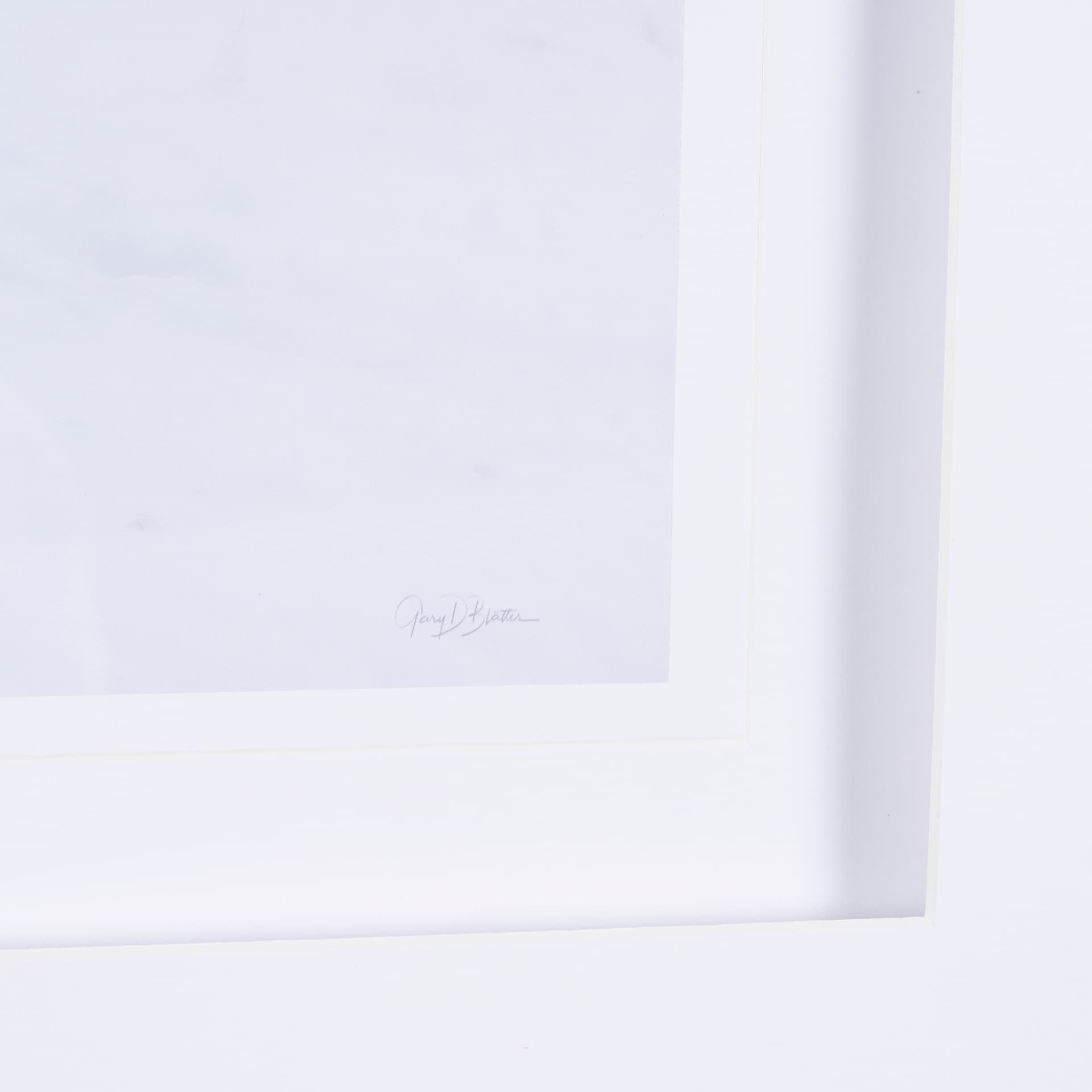 Winter in Paradise by Gary Blatter a Hand Embellished Textured Framed Photo Art Print Matted under G — product photograph