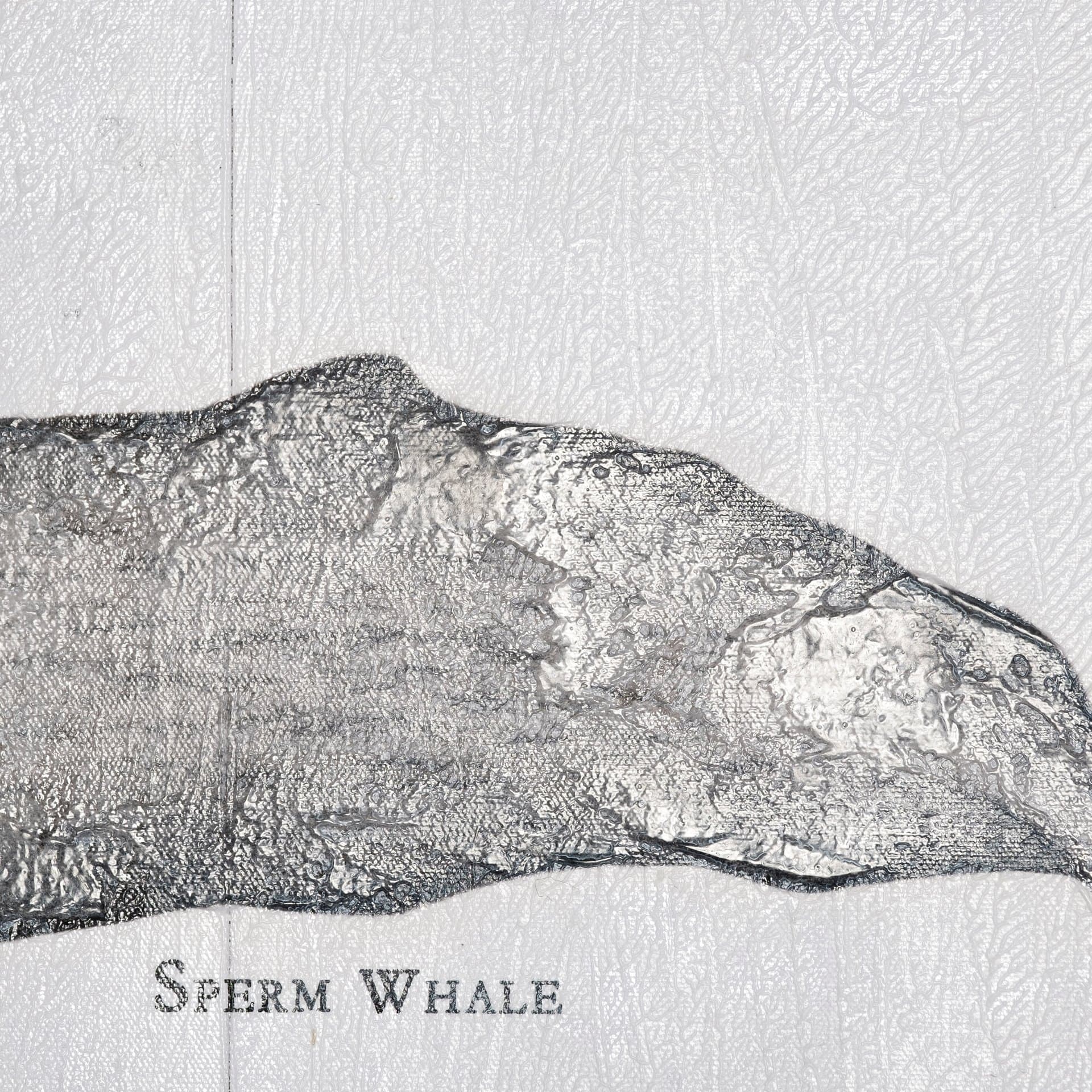 Sperm Whale by Mercana Studio a Hand Embellished Textured Canvas — product photograph