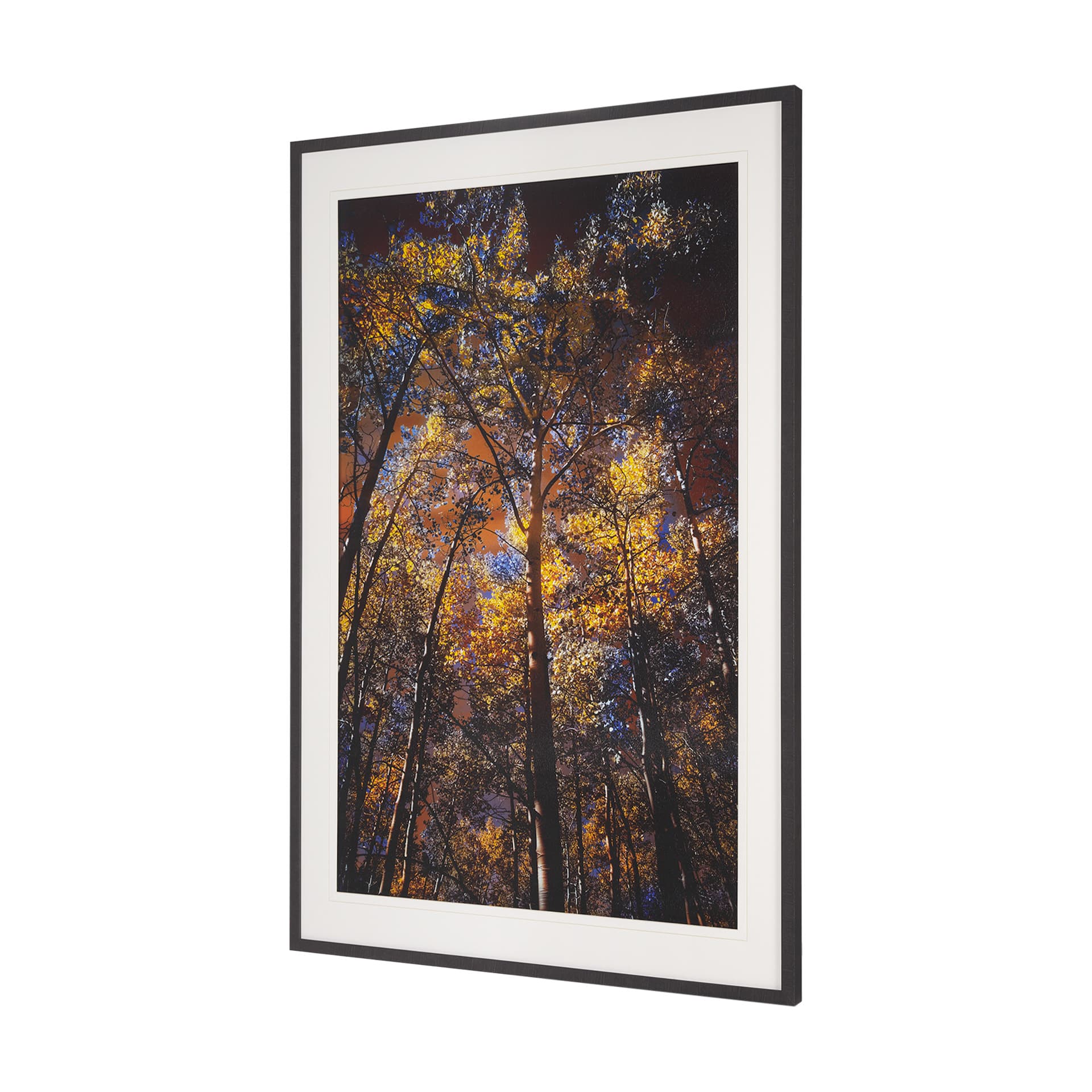Leafy Shelter by Bobbie Goodrich a Hand Embellished Framed Photo Art Print Matted under Glass — product photograph