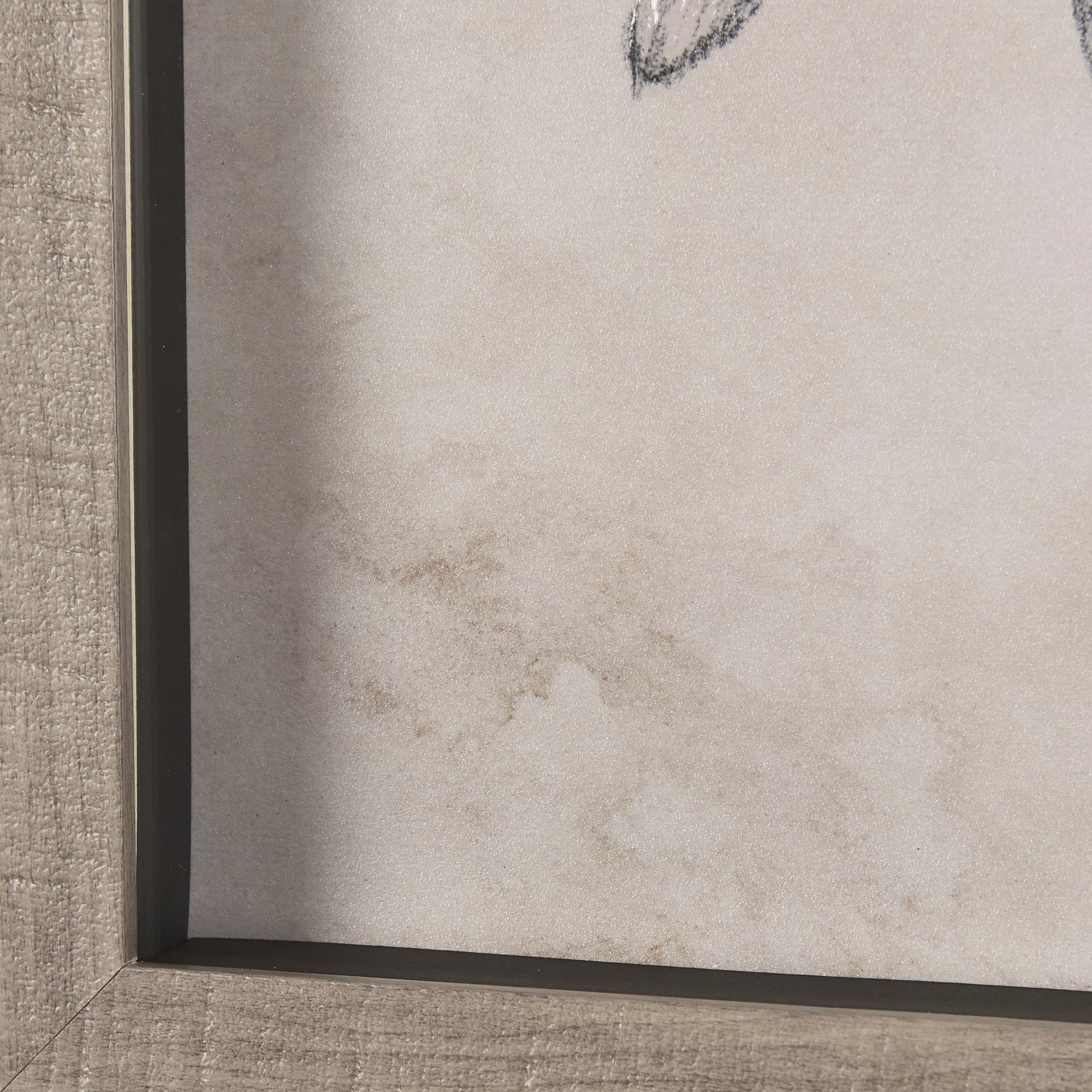 Chamomile Drawing I by Mercana Studio Hand Embellished Textured Framed Art Print Matted under Glass — product photograph