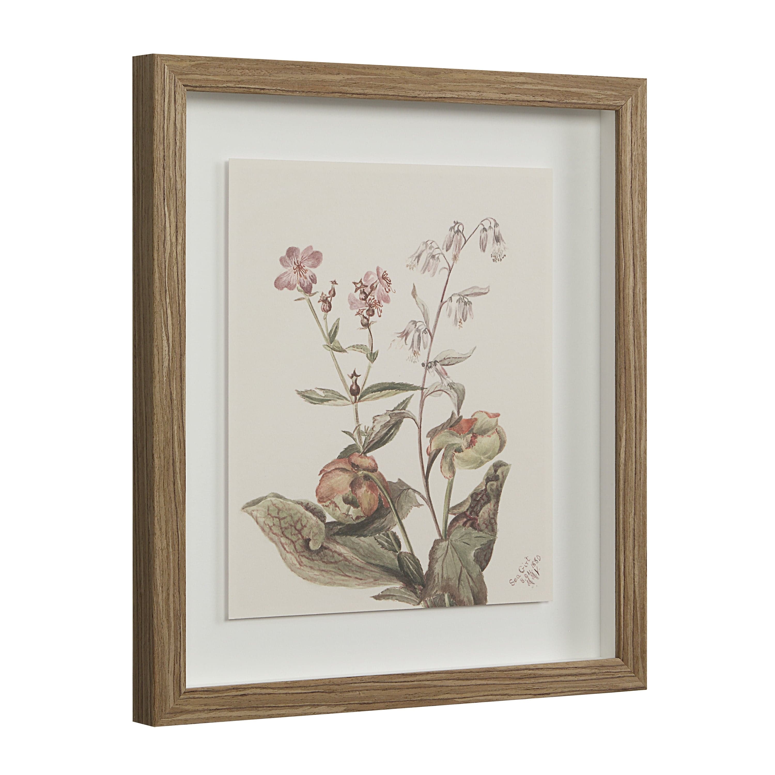 Crema — product photograph