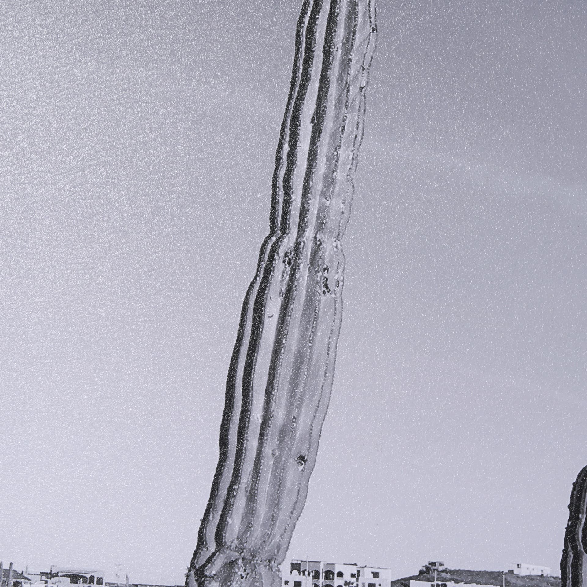On The Ranch Cactus I by Norm Stelfox Hand Embelished Textured Framed Photo Art Print Matted under G — product photograph