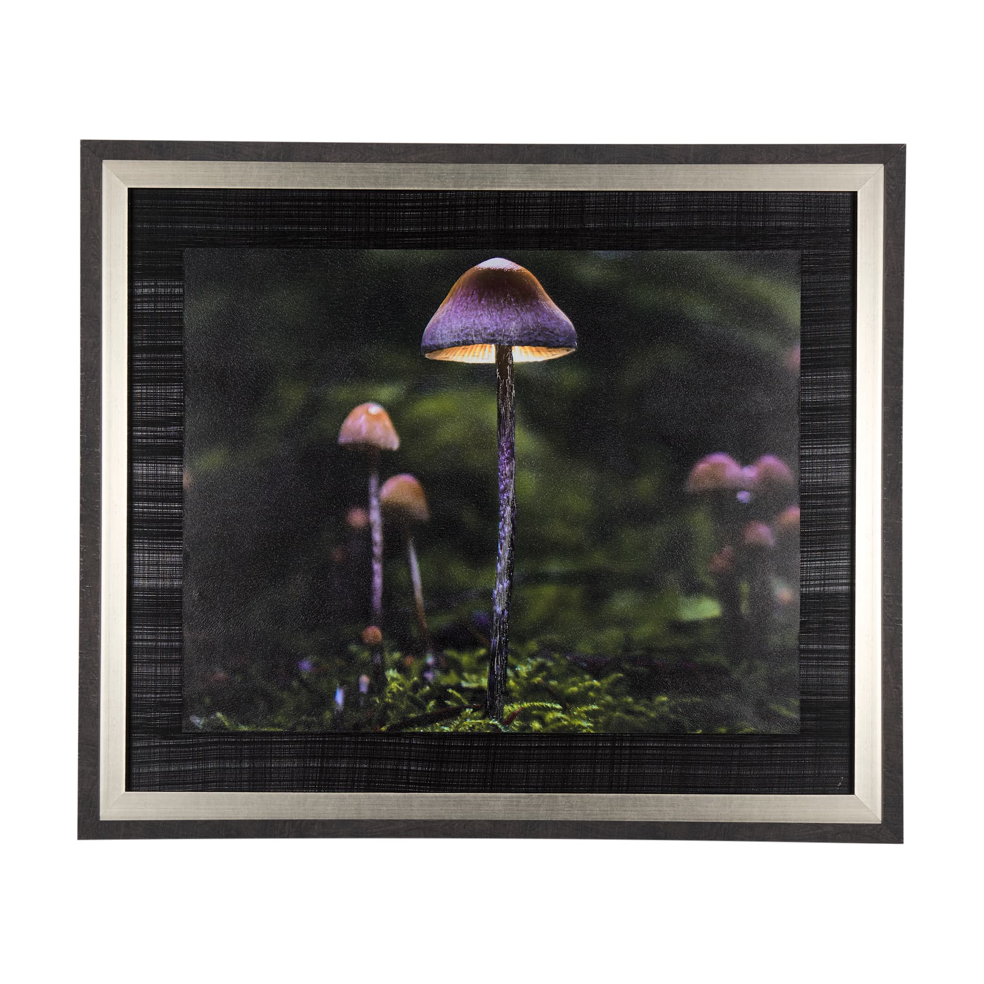 Mushroom by Chad Mackay a Hand Embellished Textured Framed Photo Art Print — product photograph