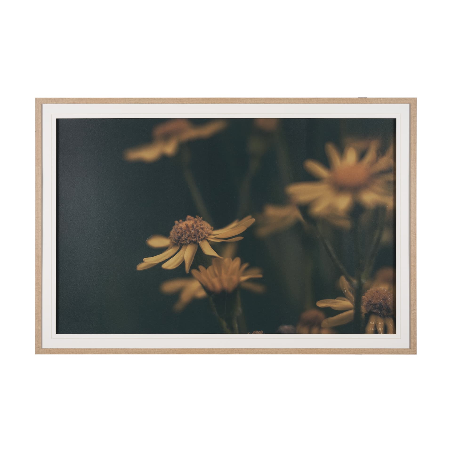 Wild Blooms I by Nathan Larson a Hand Embellished Framed Photo Art Print Matted under Glass — product photograph