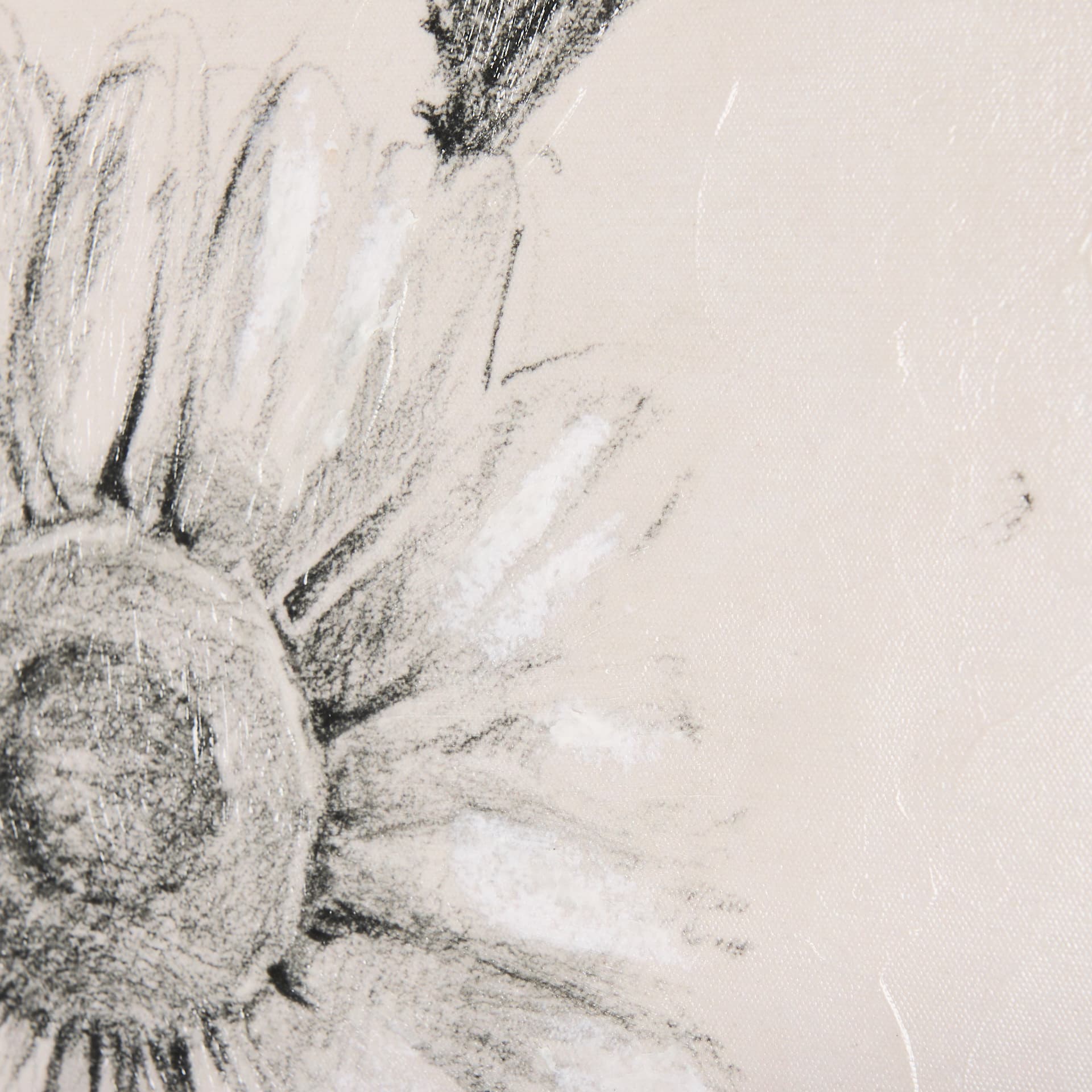 Chamomile Drawing I by Mercana Studio a Hand Embellished Textured Canvas — product photograph