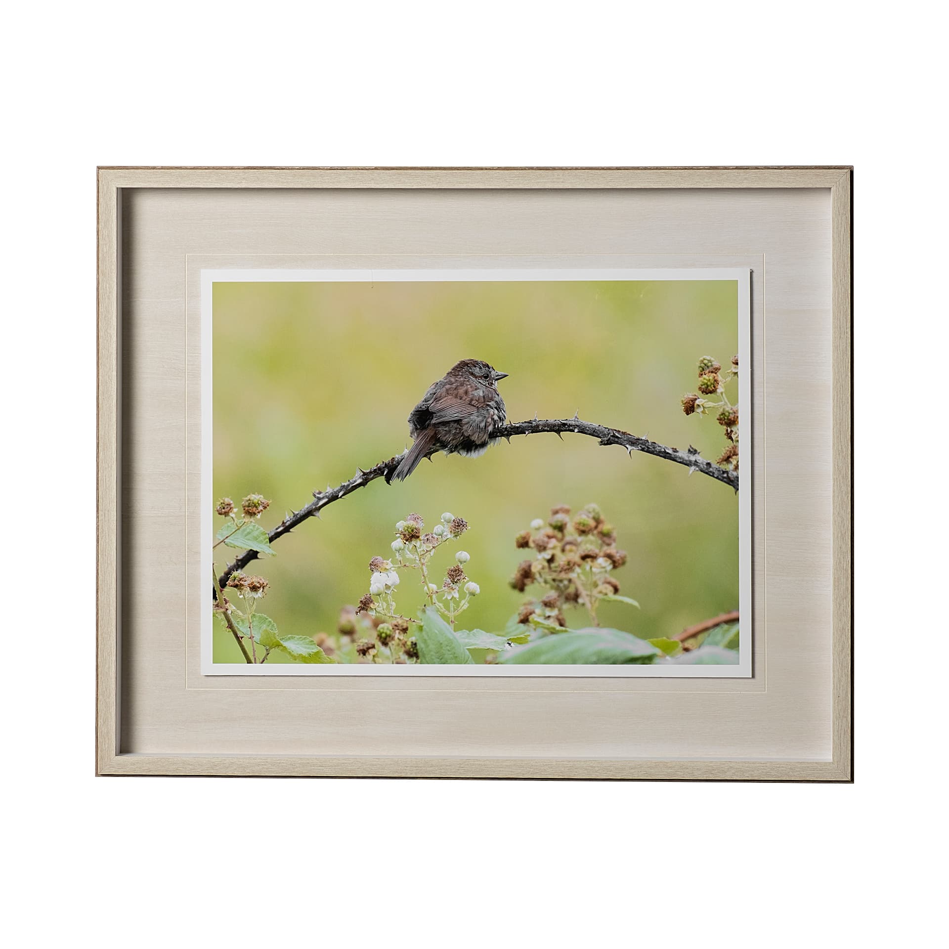 untitled by Nancy Crowell a Framed Photo Art Print Matted under Glass — product photograph