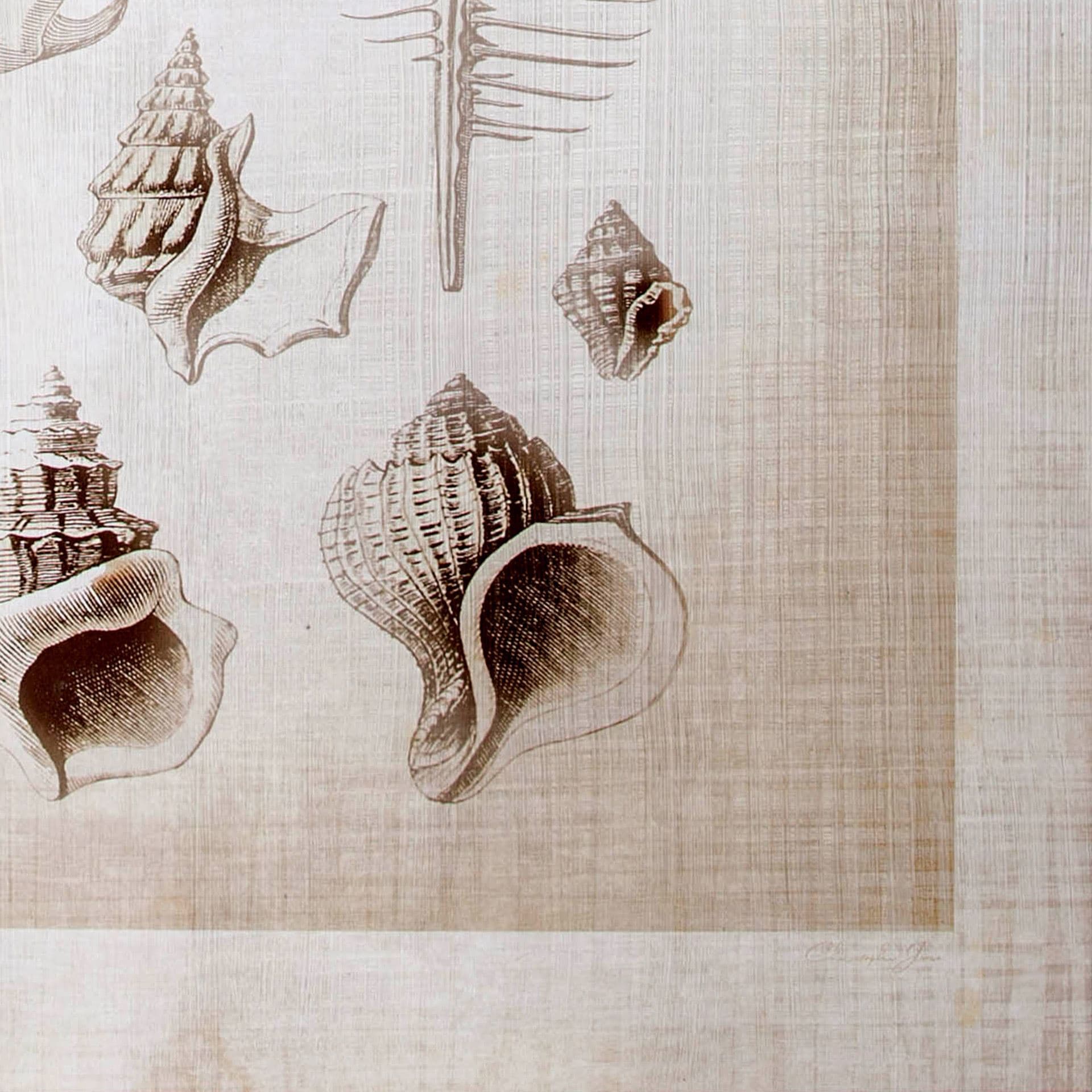 Ocean Shell Collection II by Christopher James a Hand Embellished Textured Canvas — product photograph