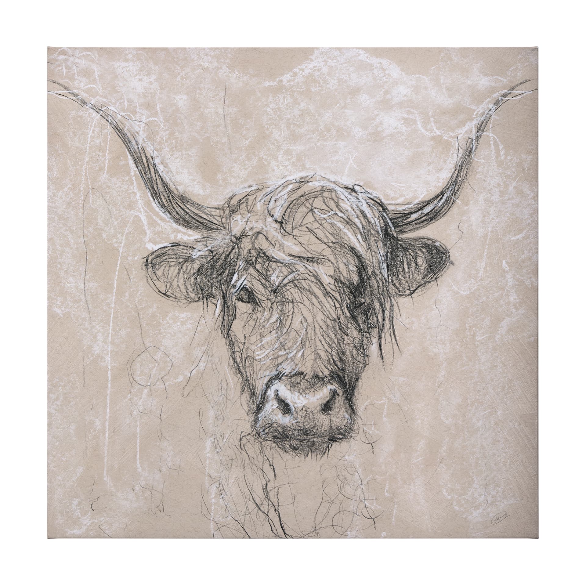 Sketch of animal VIII (Highland bull) by Mercana Studio a Hand Embellished Textured Canvas — product photograph