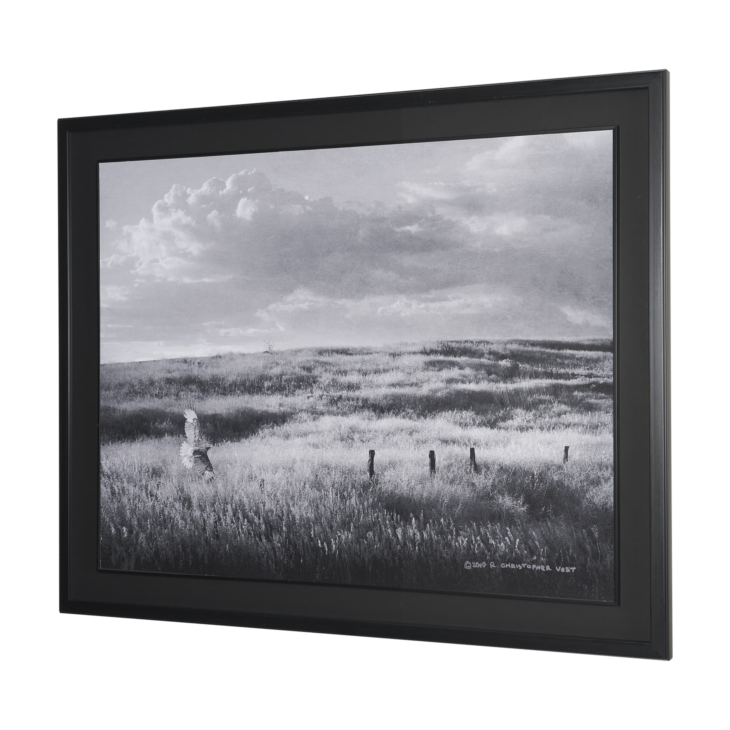 Fence Line Flight I by R. Christopher Vest Textured FramedPhoto Print Matted under Glass — product photograph