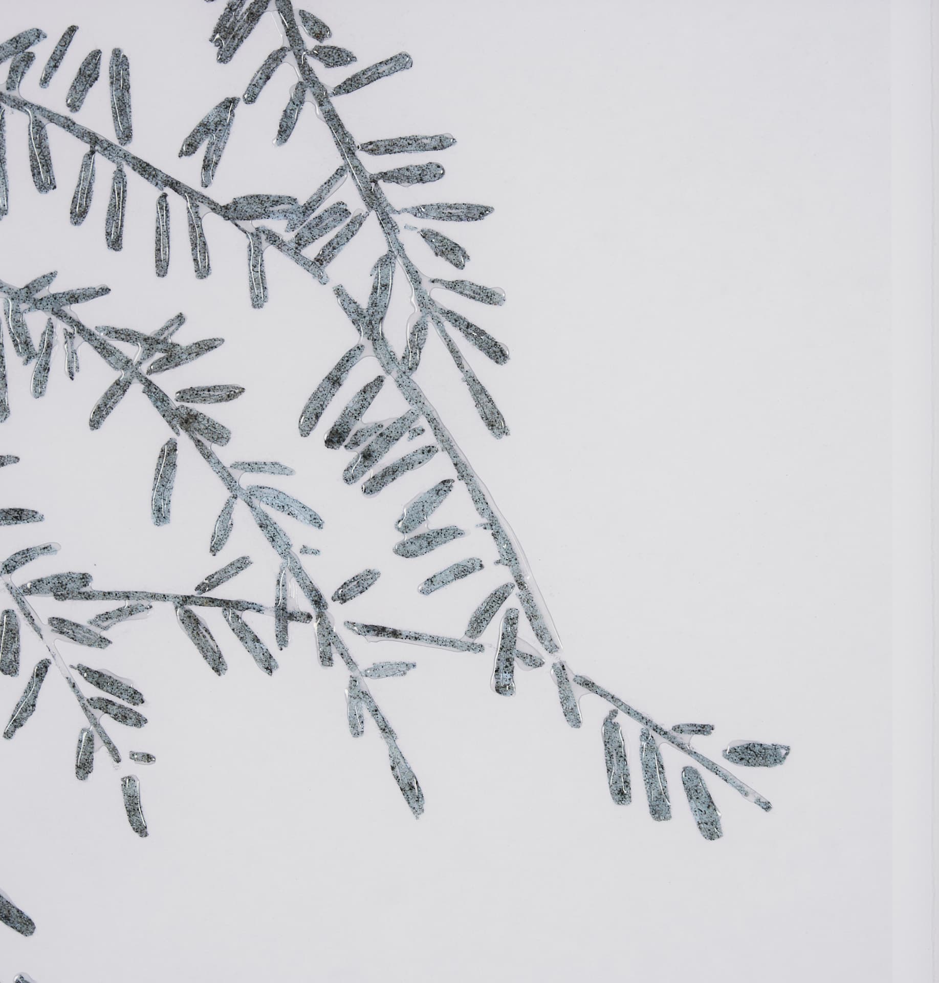 Evergreen Branches I by Mercana Studio a Hand Embellished Framed Art Print Matted under Glass — product photograph