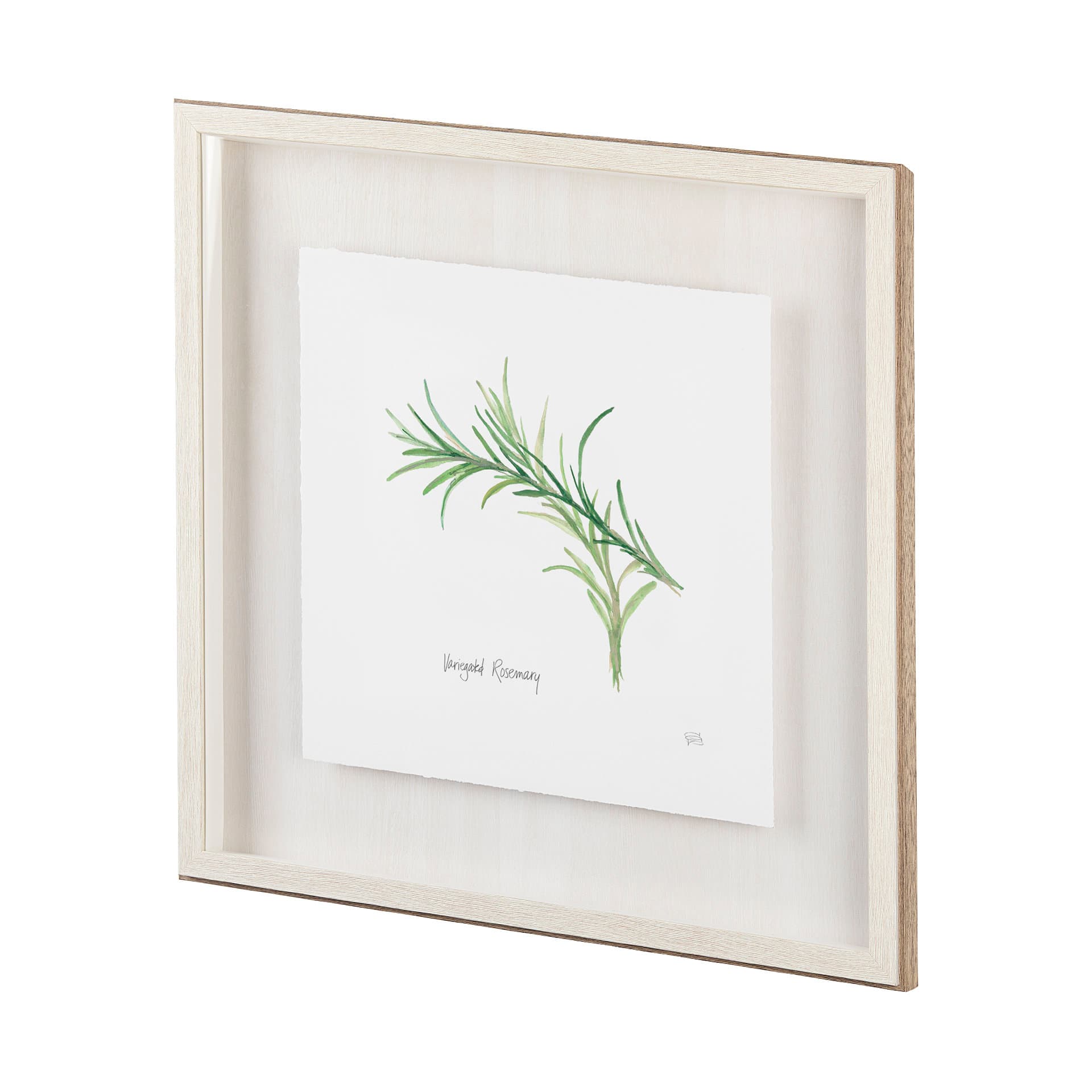 Tarragon v2 by Chris Paschke a Framed Art Print Matted under Glass — product photograph