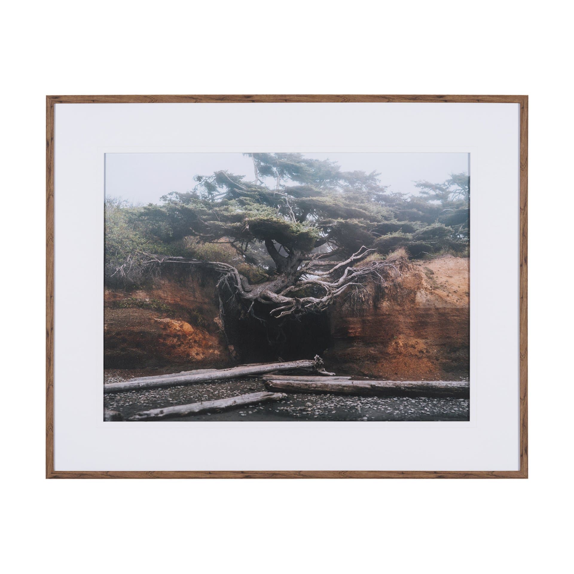 Tree of Life by Stefan and Audrey Textured Framed Photo Print Matted under Glass — product photograph