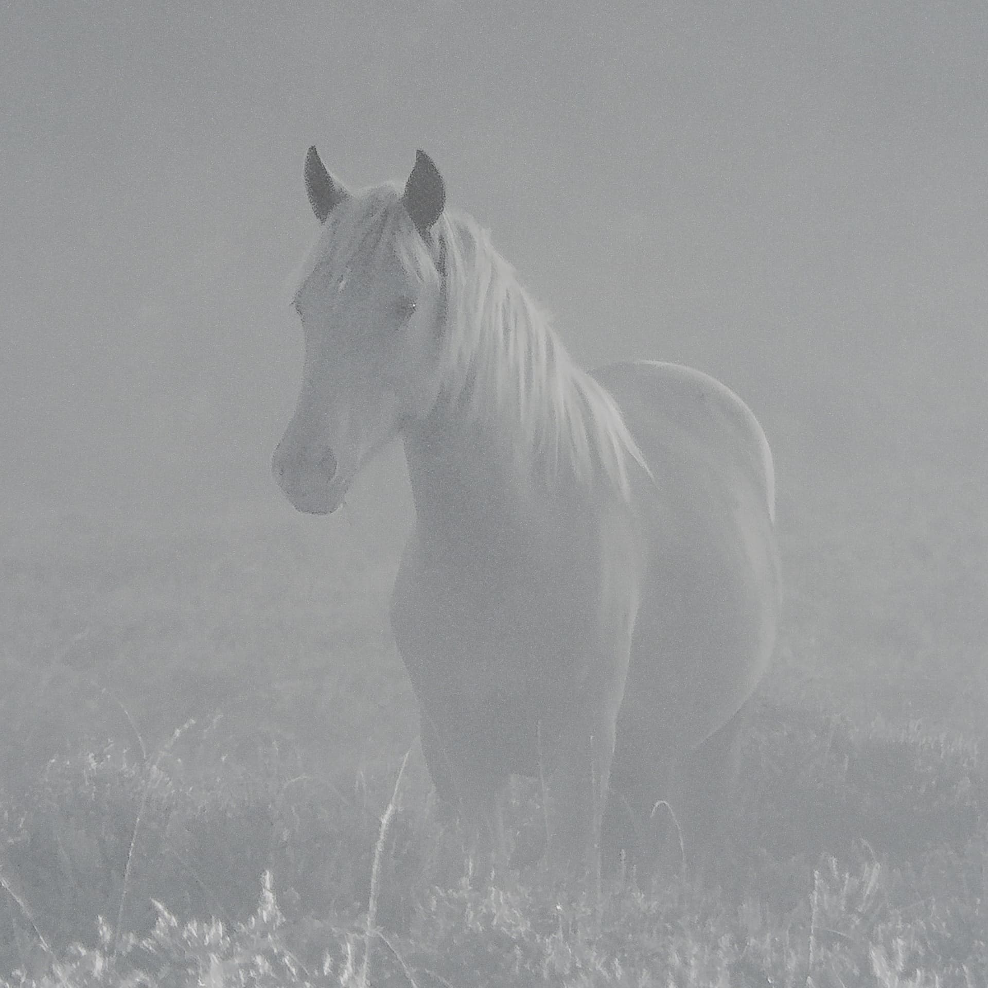 Quiet Morning by Matt Roseveare a Framed Photo Art Print Matted under Glass — product photograph