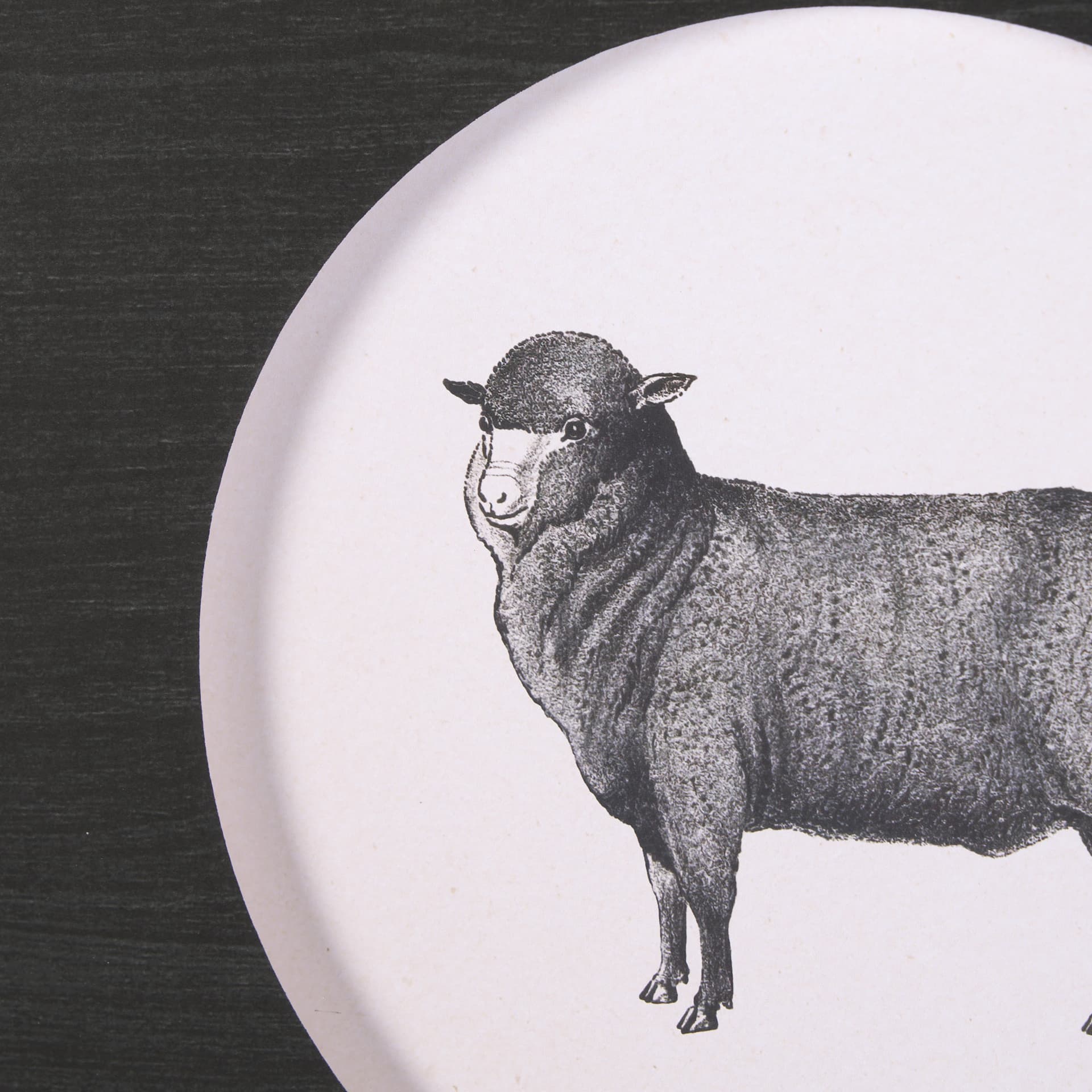 Down On The Farm II by Wild Apple Portfolio a Framed Art Print Matted under Glass — product photograph