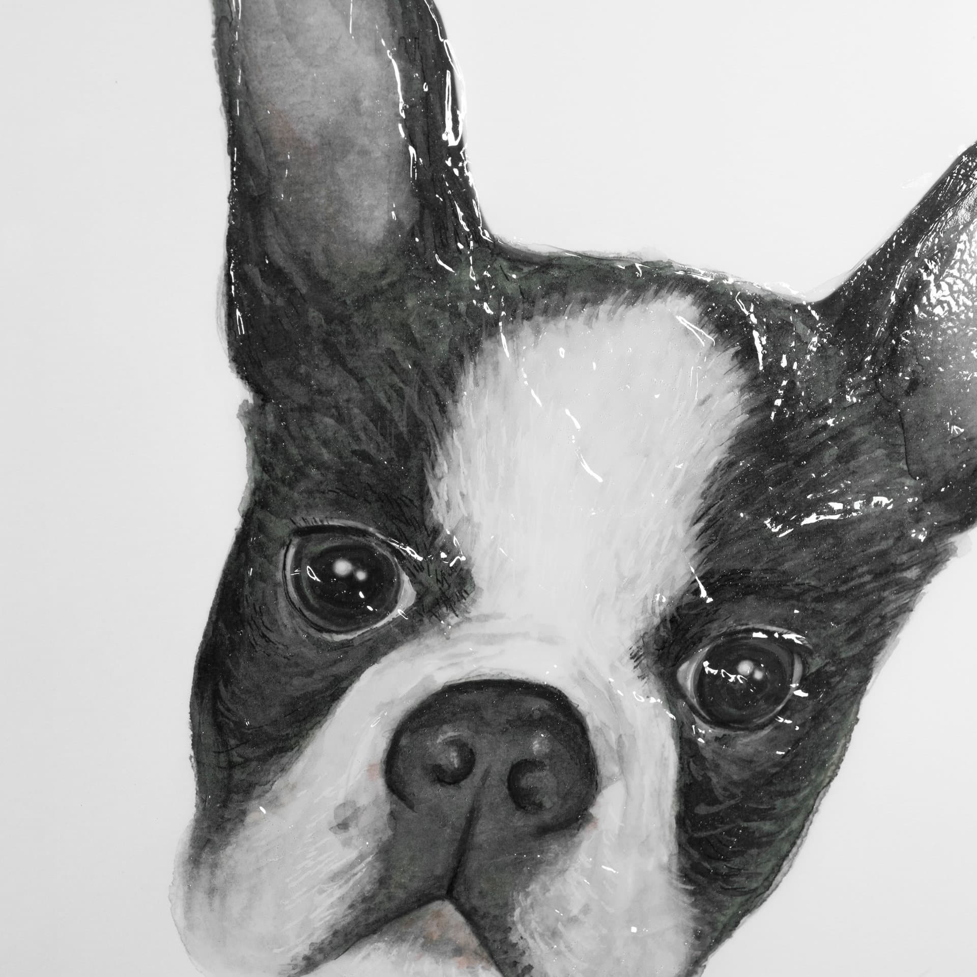 Floyd (Boston Terrier 1) by Mercana Studio Hand Embellished Framed Art Print Matted under Glass — product photograph