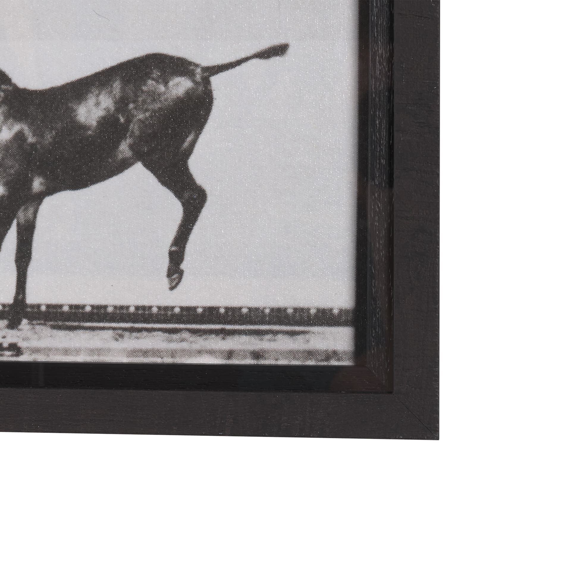 Bucking and Kicking by Eadweard Muybridge Hand Embellished Framed Art Print Matted under Glass — product photograph