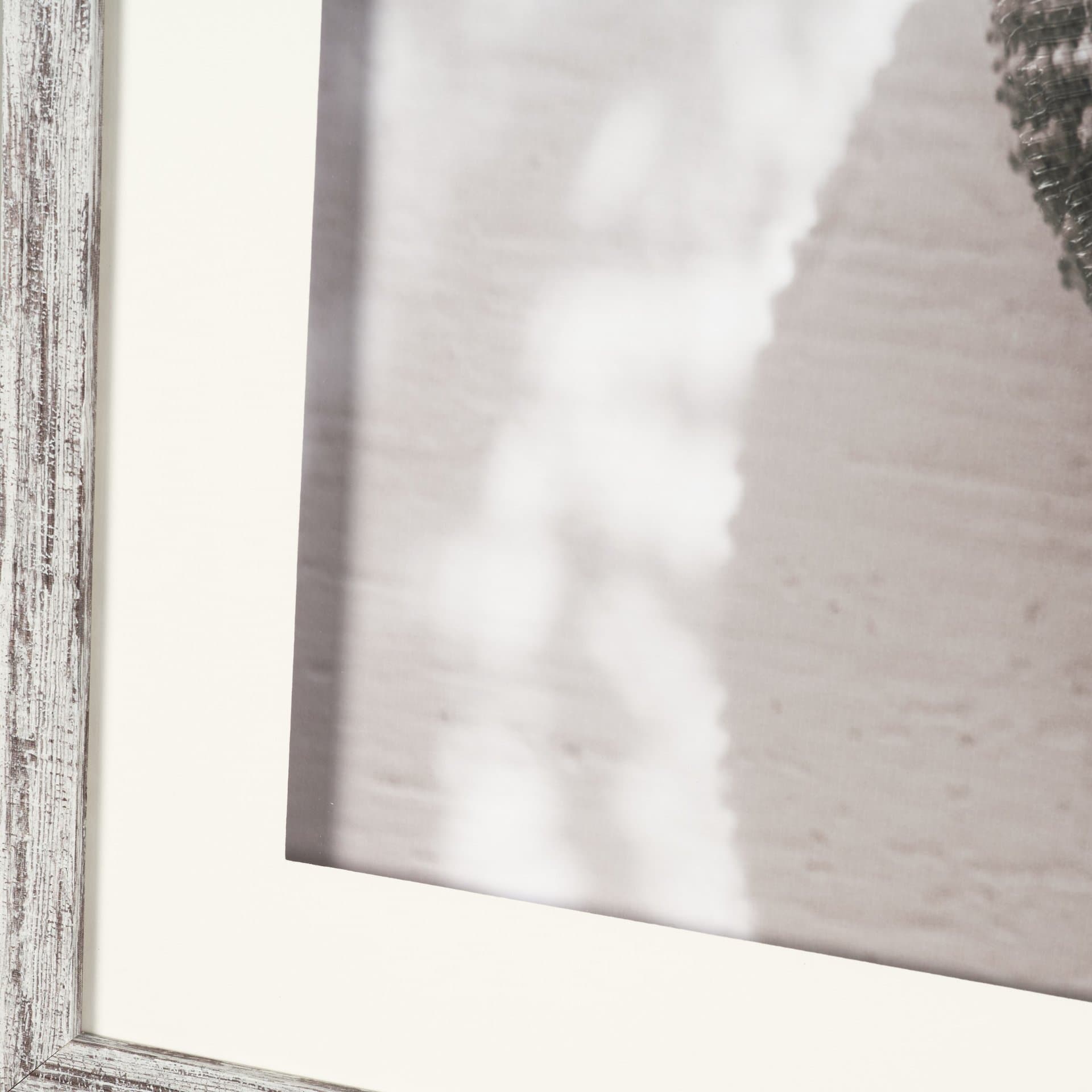 Urchins in Lace I by Deborah Revell a Hand Embellished Framed Print under Glass — product photograph