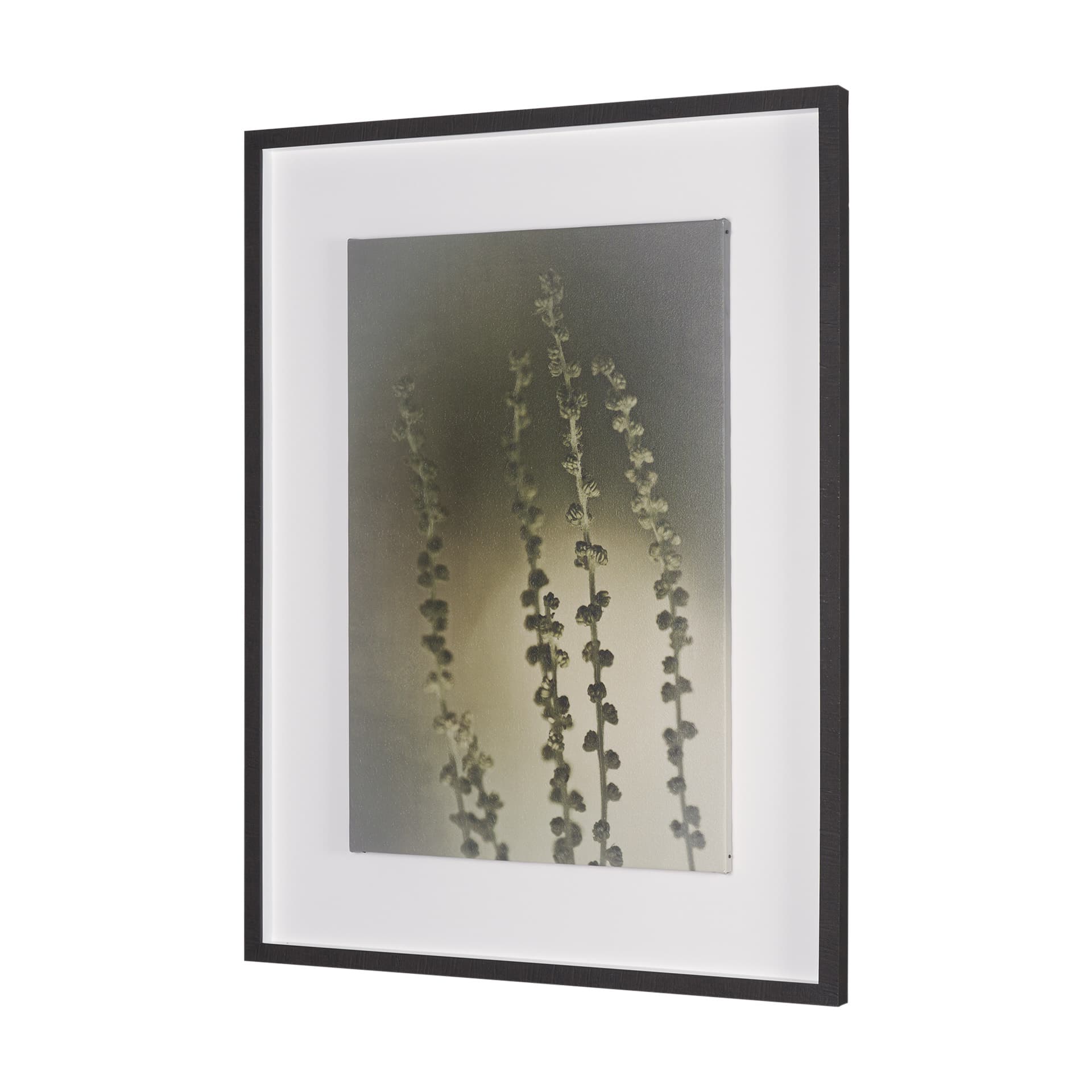Hanging Delight by Michael Banks a Hand Embellished Framed Photo Art Print Matted under Glass — product photograph