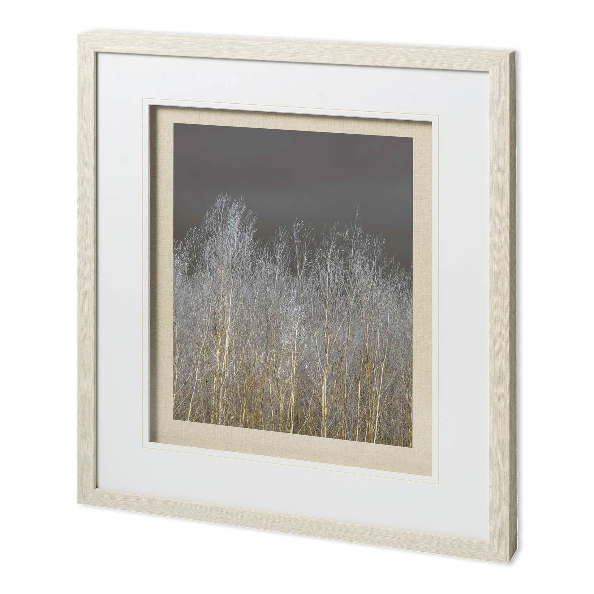 Silver Forest II by Frank, Assaf a Framed Photo Art Print Matted under Glass — product photograph