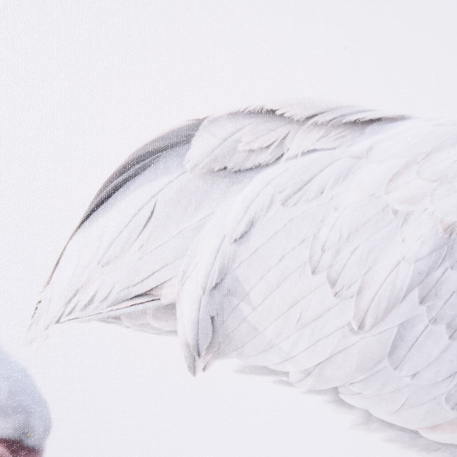 Sandhill Crane I by Chad Mckay a Hand Embelished Textured Framed Photo Art Print — product photograph
