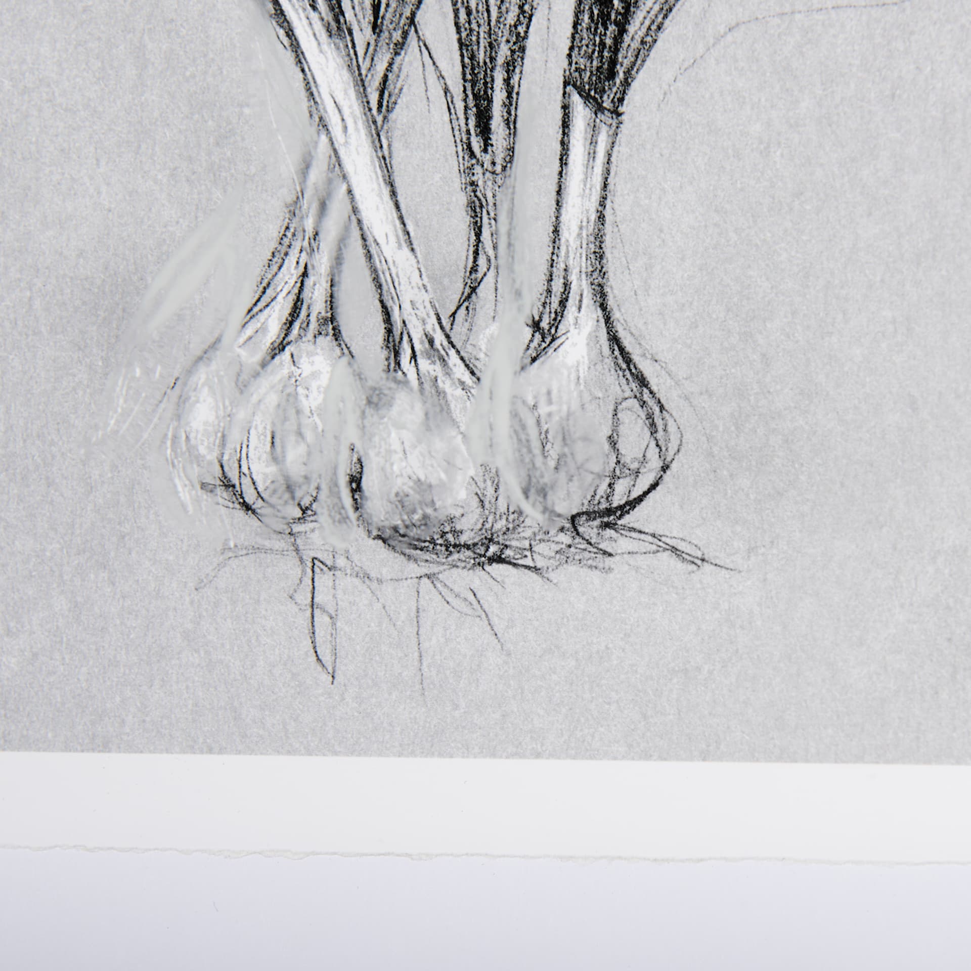 Botanical sketches VI (Grey) by Mercana Studio Hand Embellished Framed Art Print Matted under Glass — product photograph