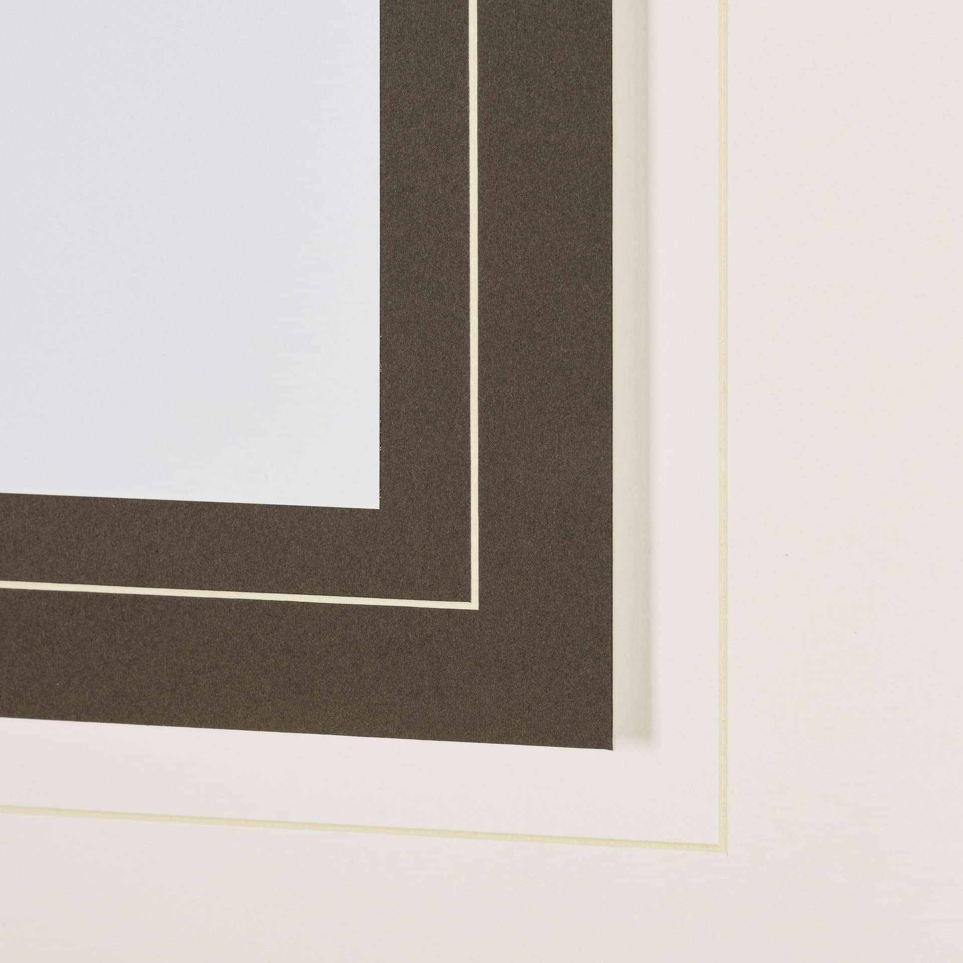 Feathered Friends by Nancy Crowell a Framed Art Print Matted under Glass — product photograph