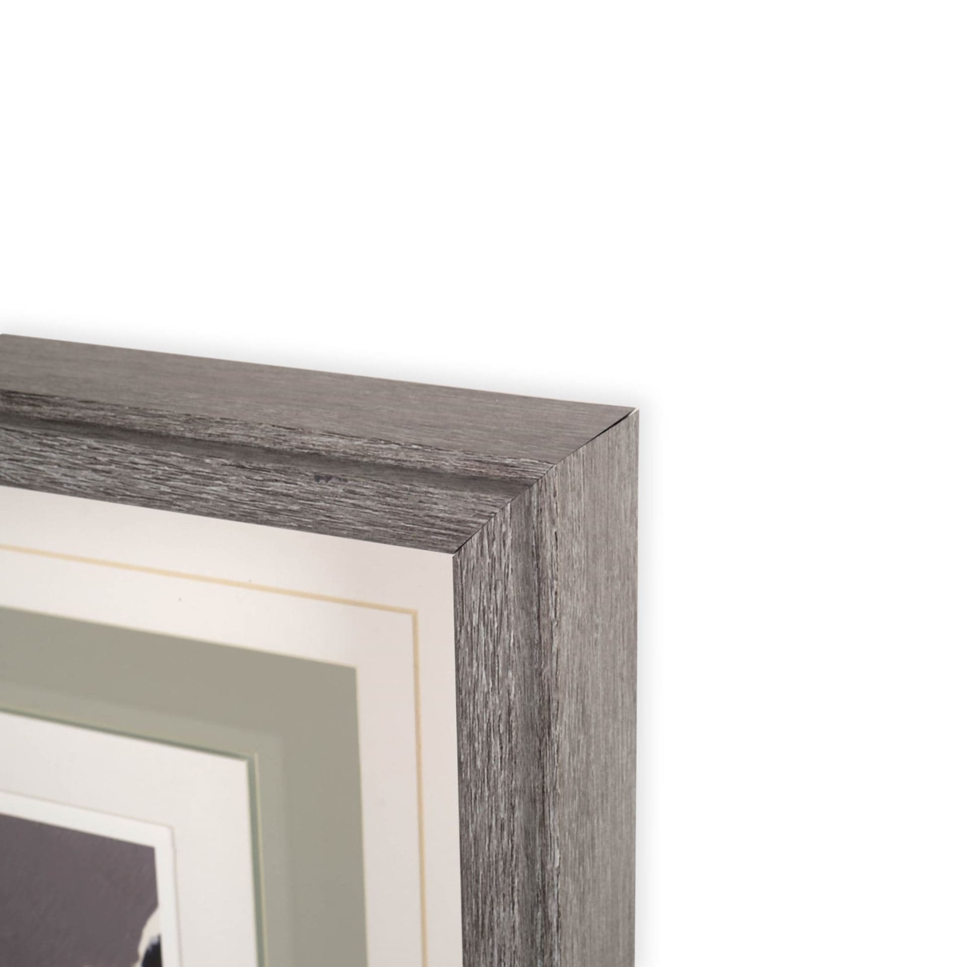 Anemone & Coral II by Jennifer Goldberger a Framed Art Print Matted under Glass — product photograph