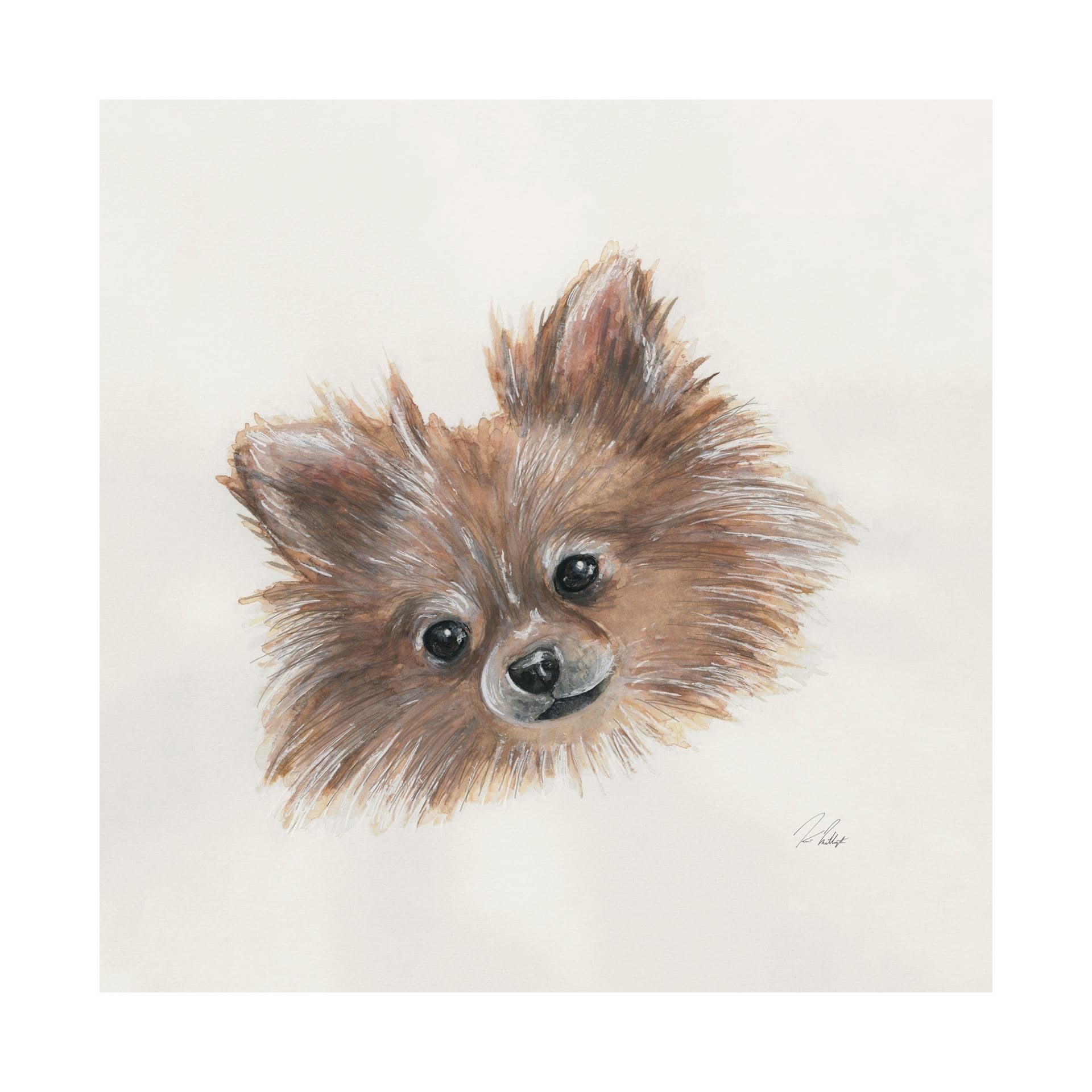 Frankie (Pomeranian 1) by Mercana Studio a Hand Embellished Textured Canvas — product photograph