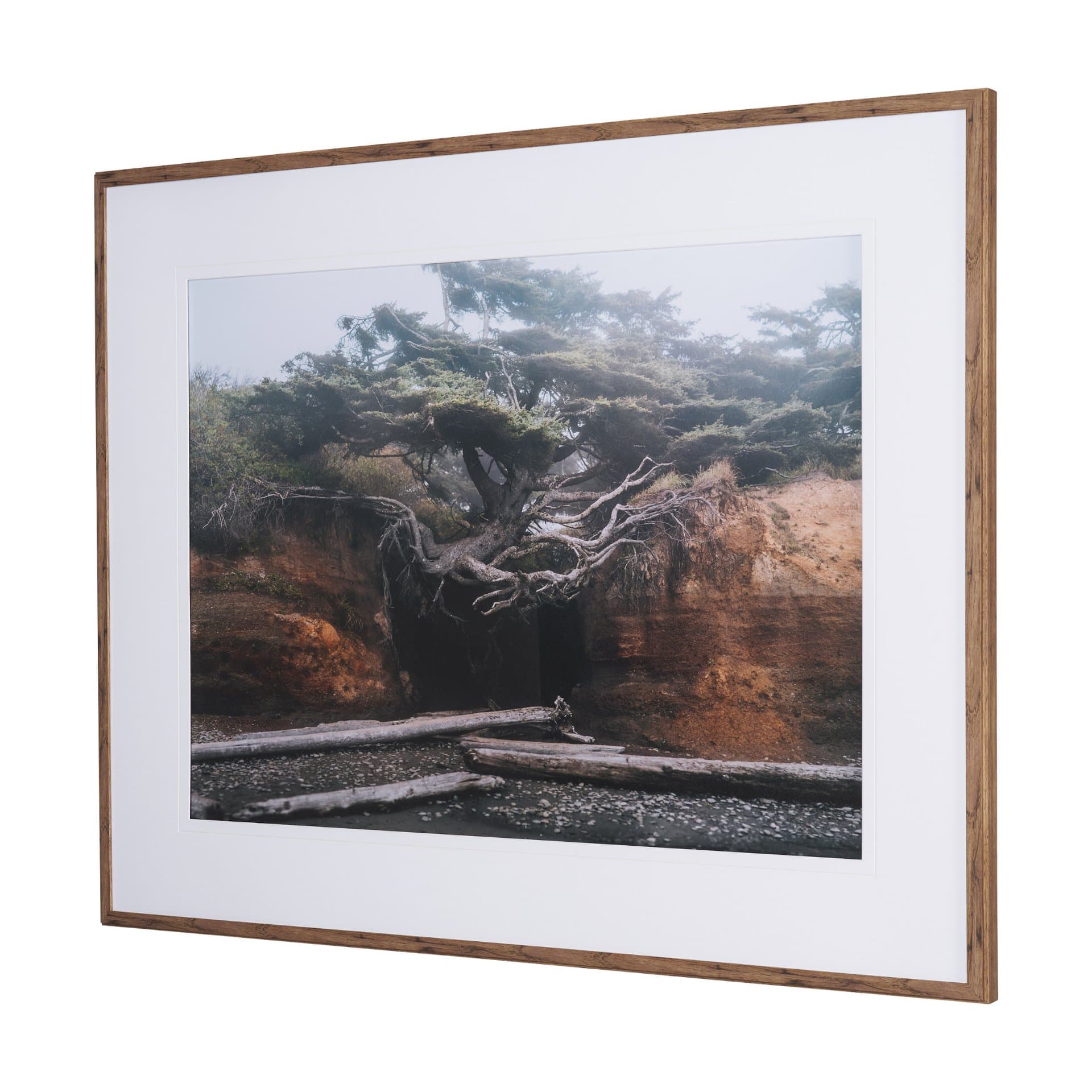 Tree of Life by Stefan and Audrey Textured Framed Photo Print Matted under Glass — product photograph