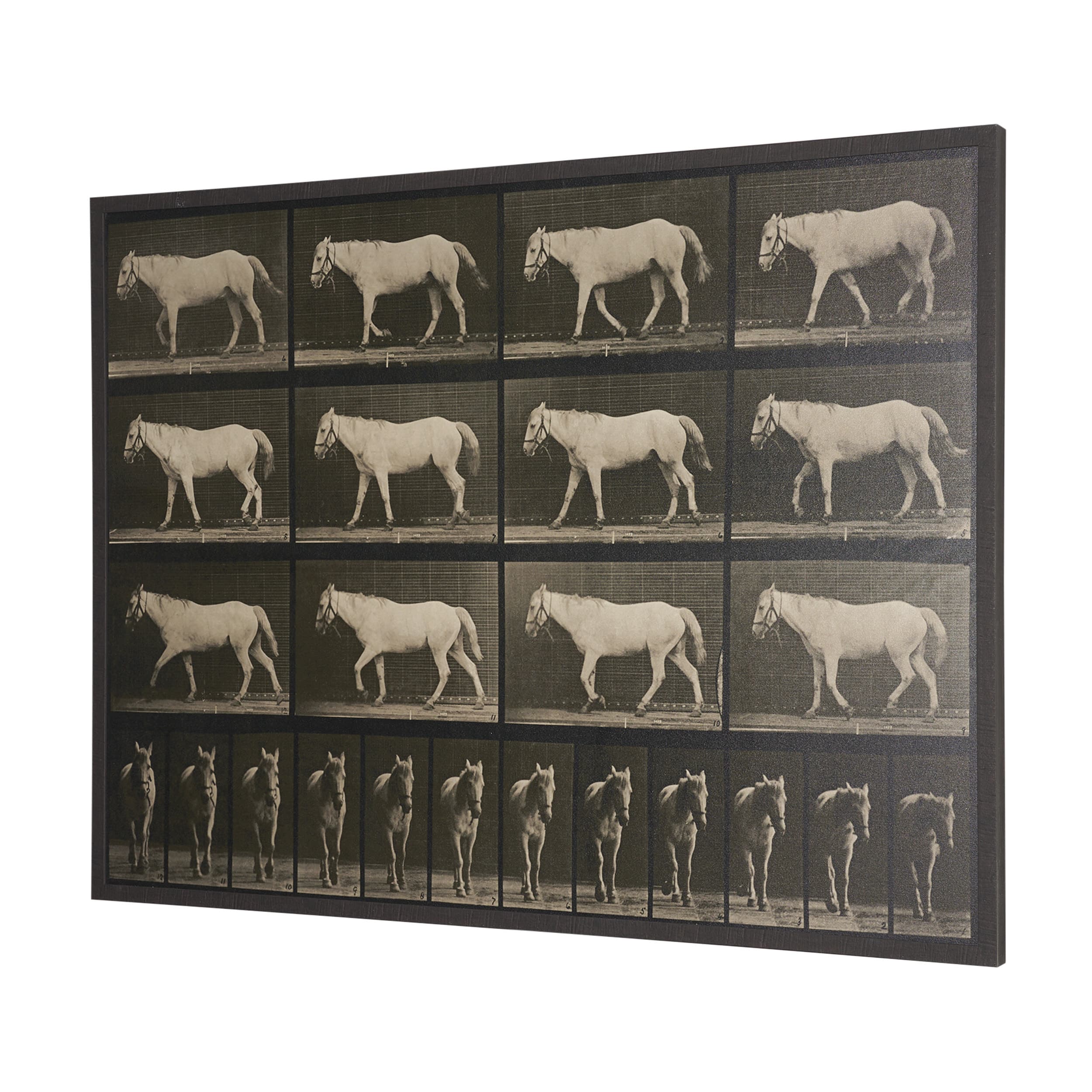 Walking Free by Eadweard Muybridge Textured Framed CanvasPhoto Print — product photograph