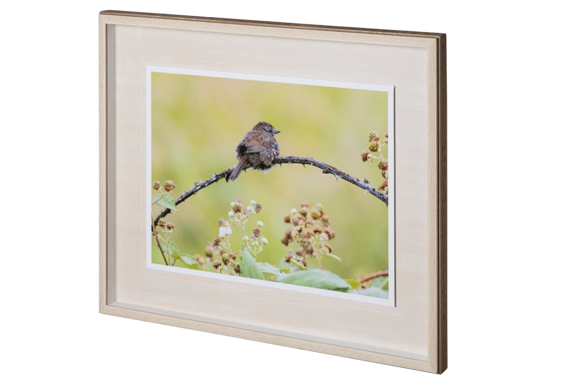 untitled by Nancy Crowell a Framed Photo Art Print Matted under Glass — product photograph