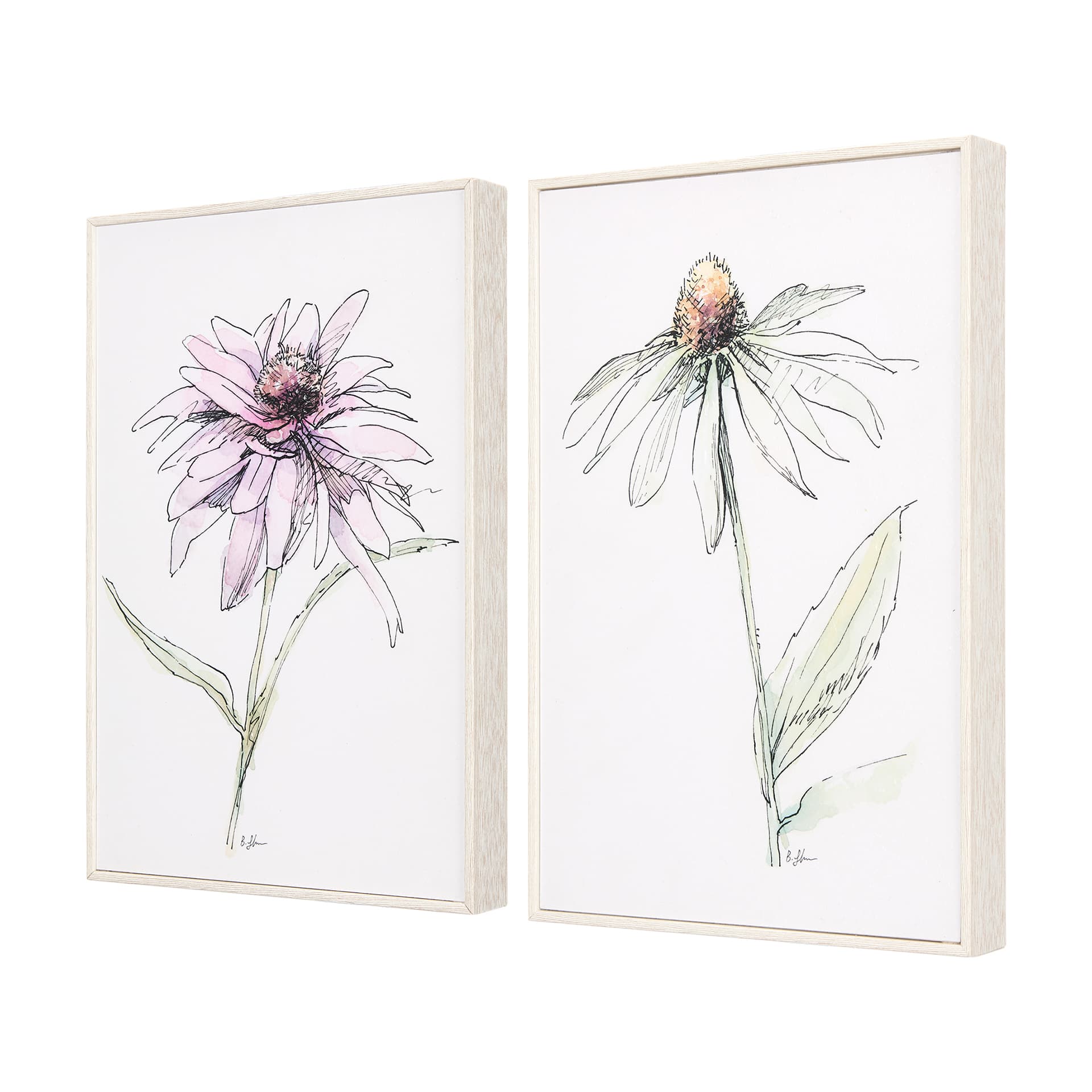 Echinacea I by Mercana Studio a Hand Embellished Textured Framed Art Print — product photograph